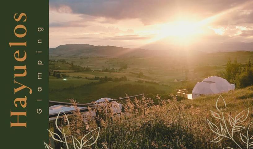 Glamping Altos De Hayuelos