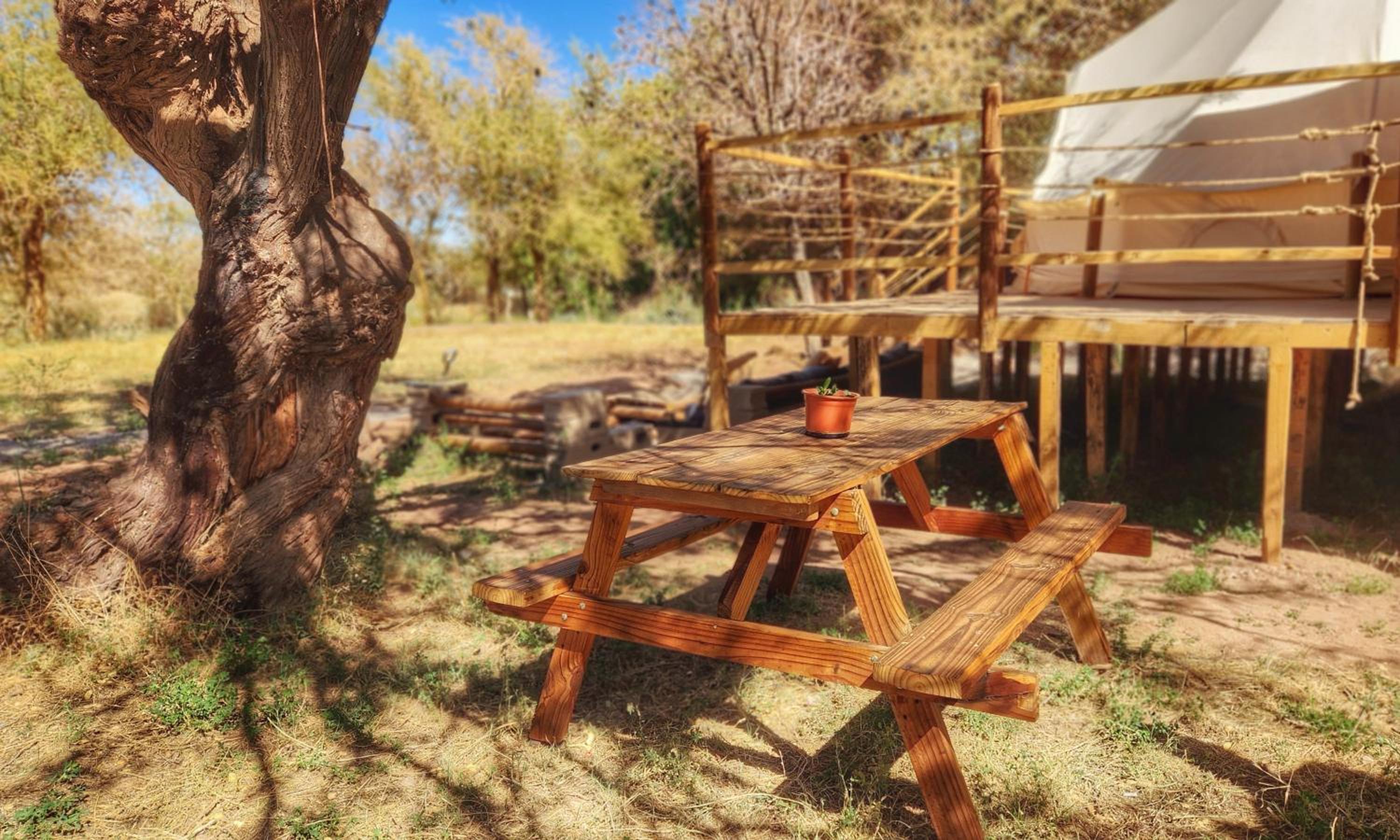Glamping Dunas del sol