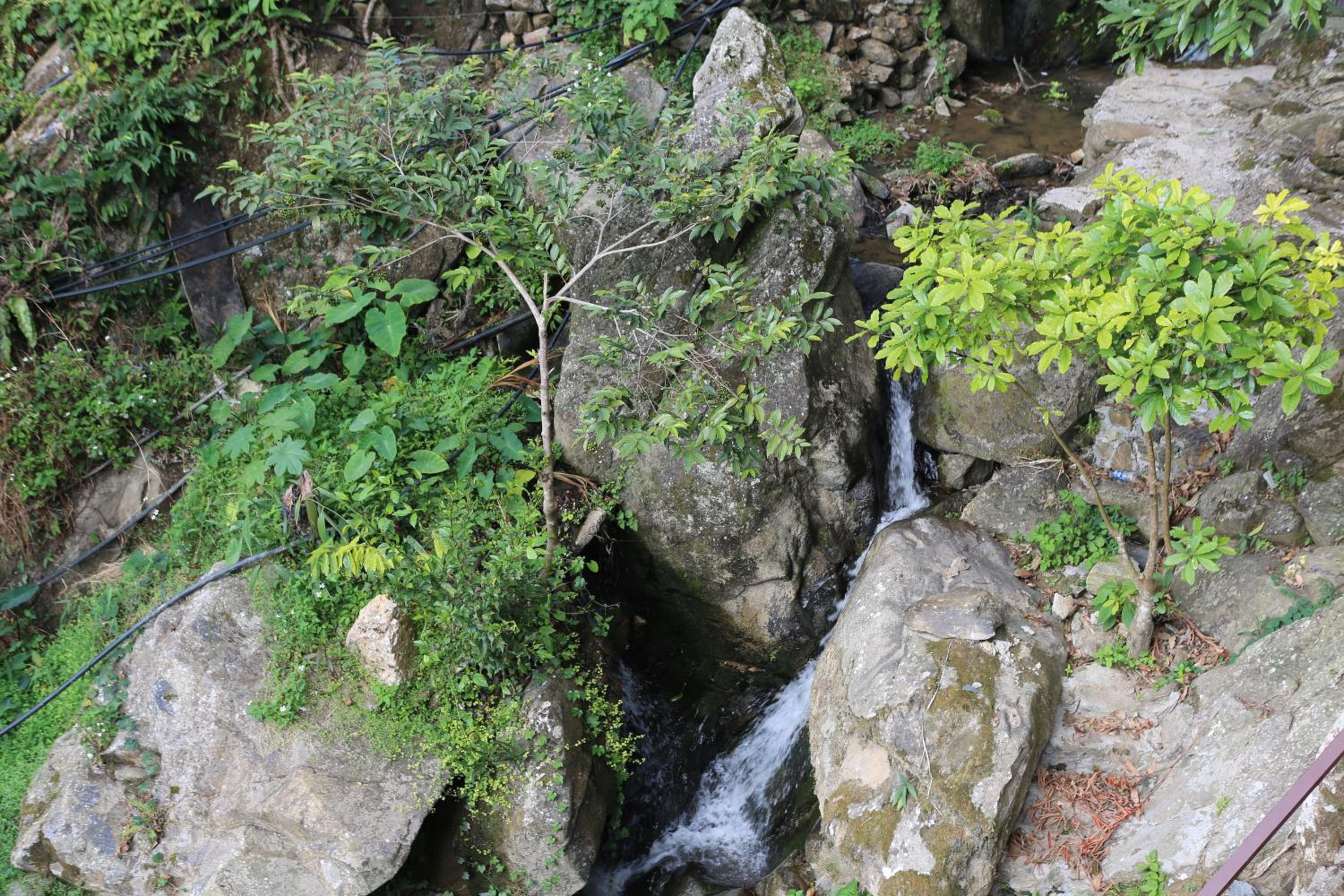 Photo 28