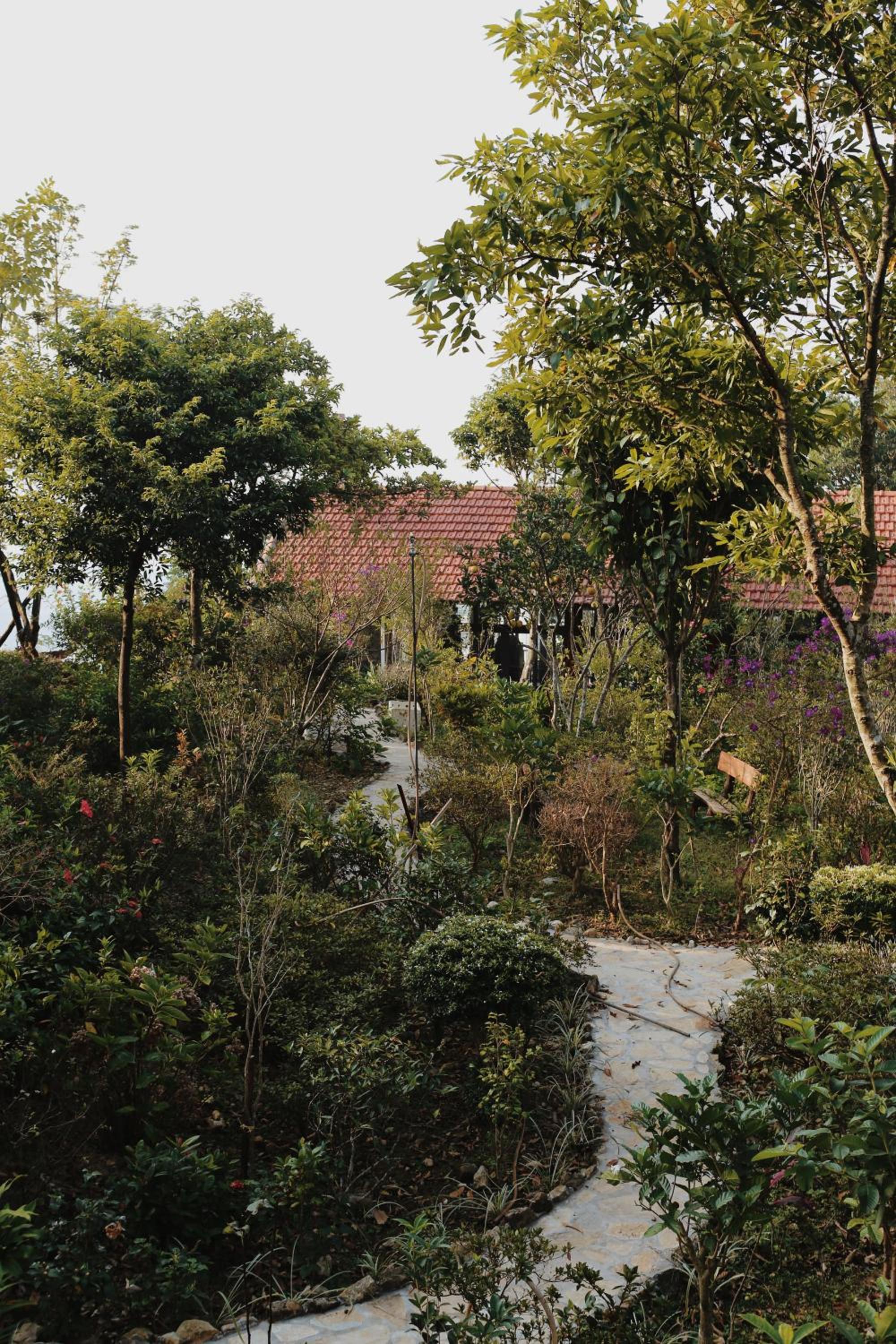 Photo 43