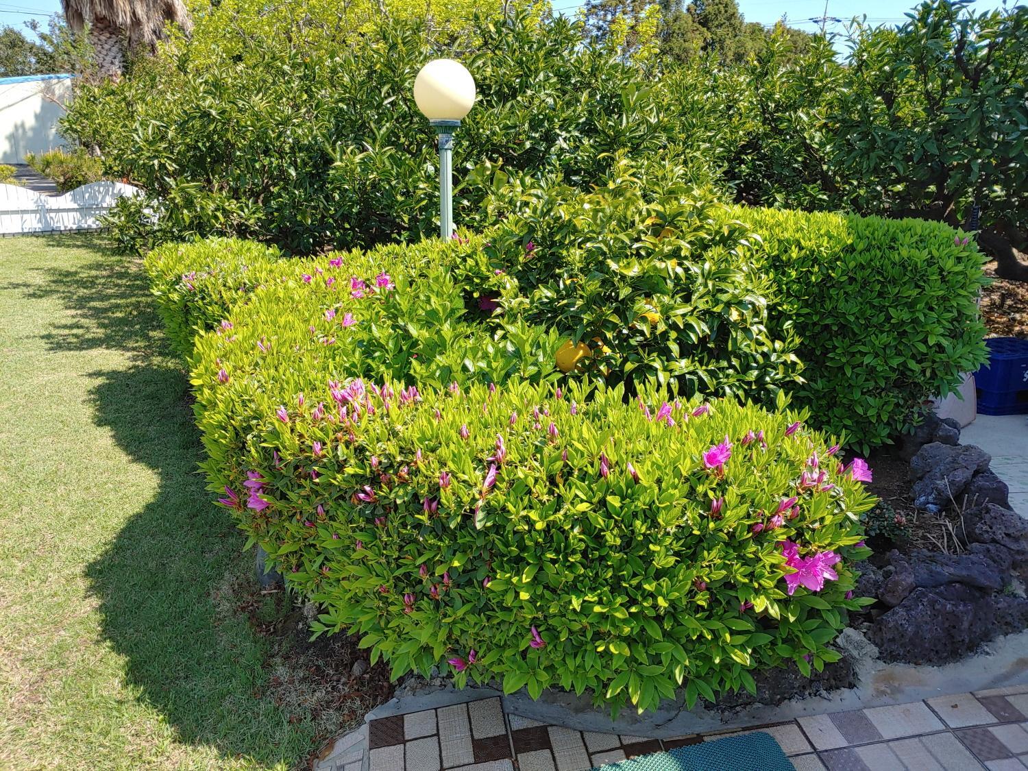 Gyulhouse Pension