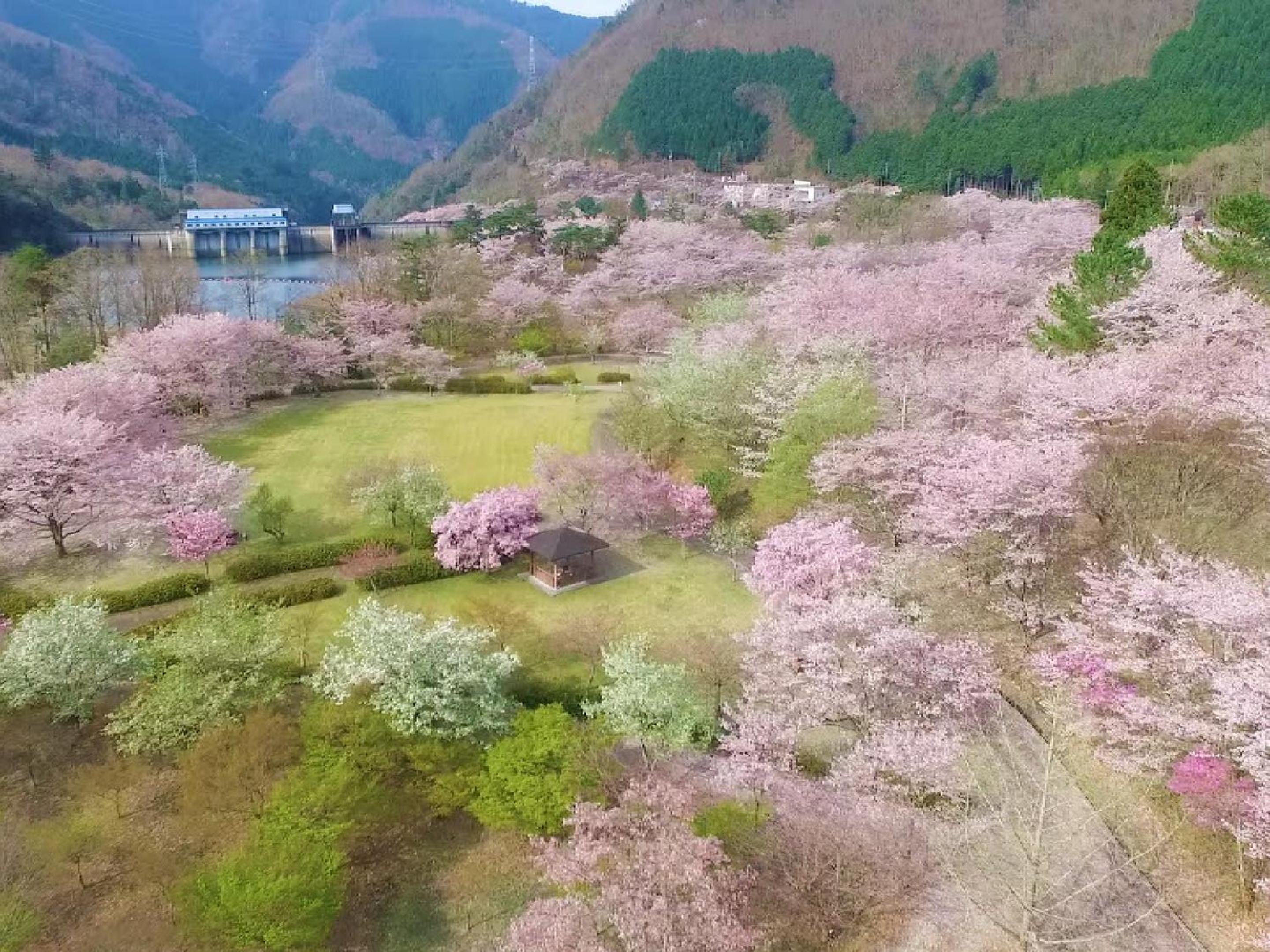 Ryokan Kigusuriya