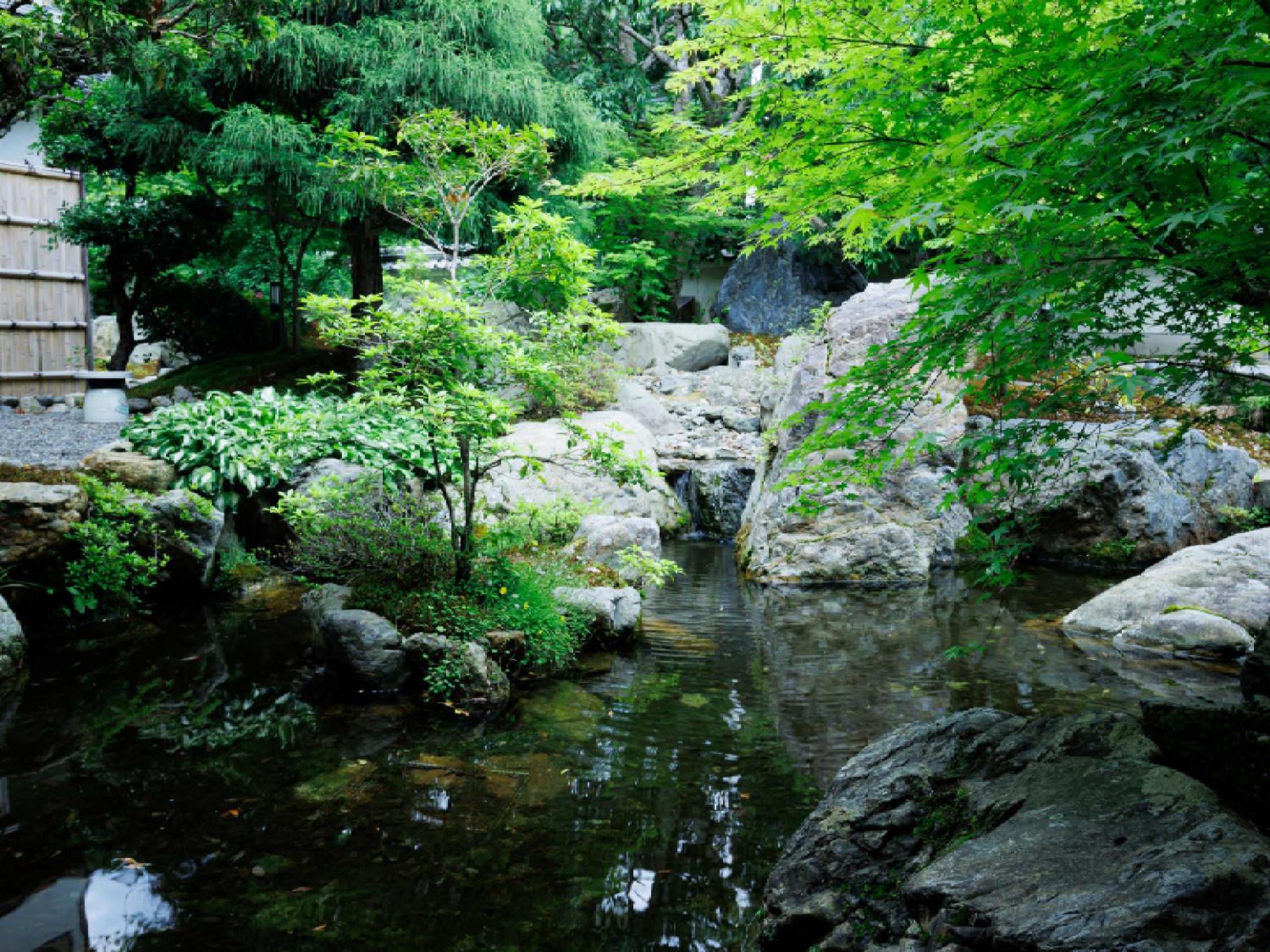 Ryokan Kigusuriya