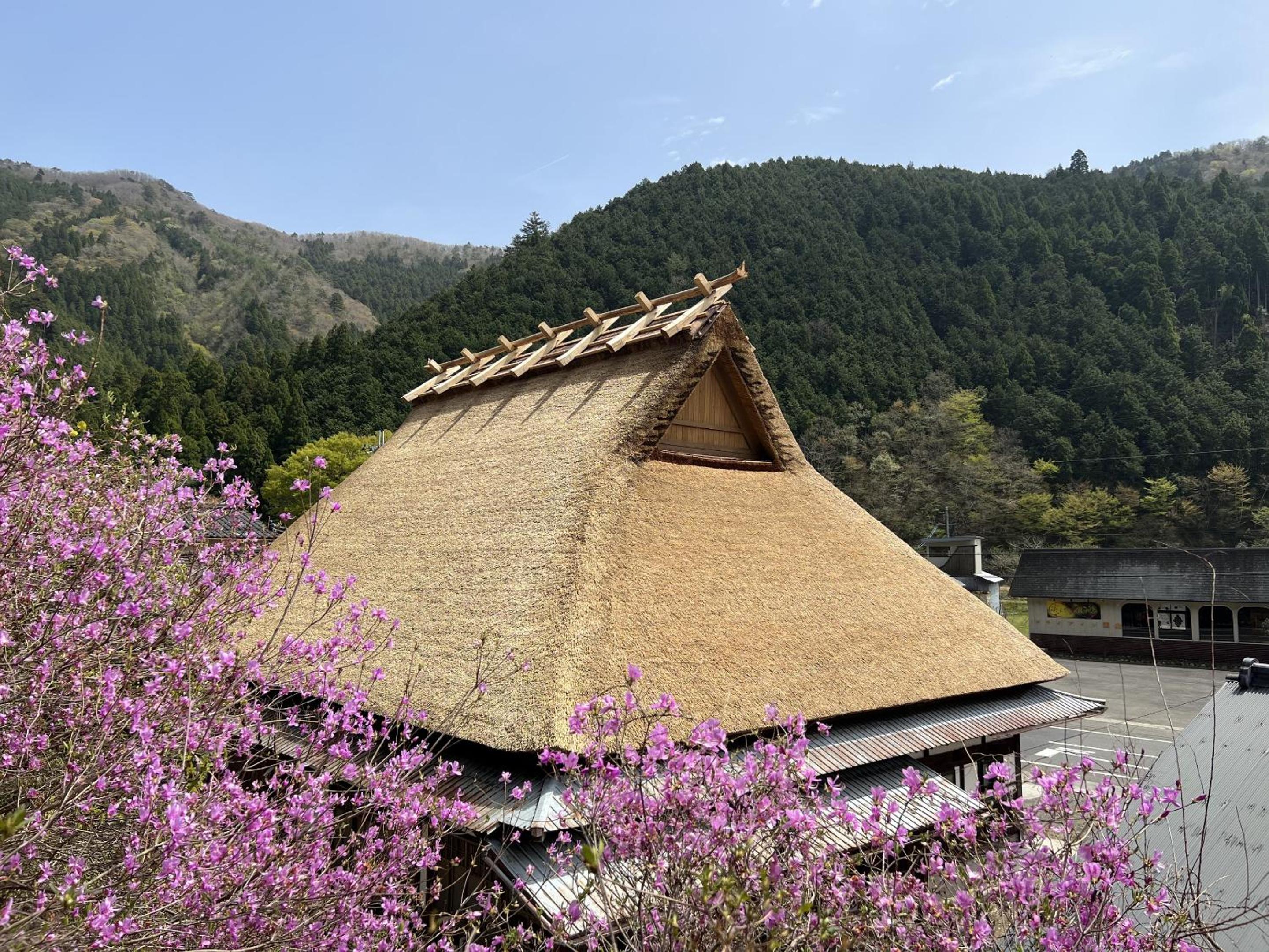 Ryokan Kigusuriya