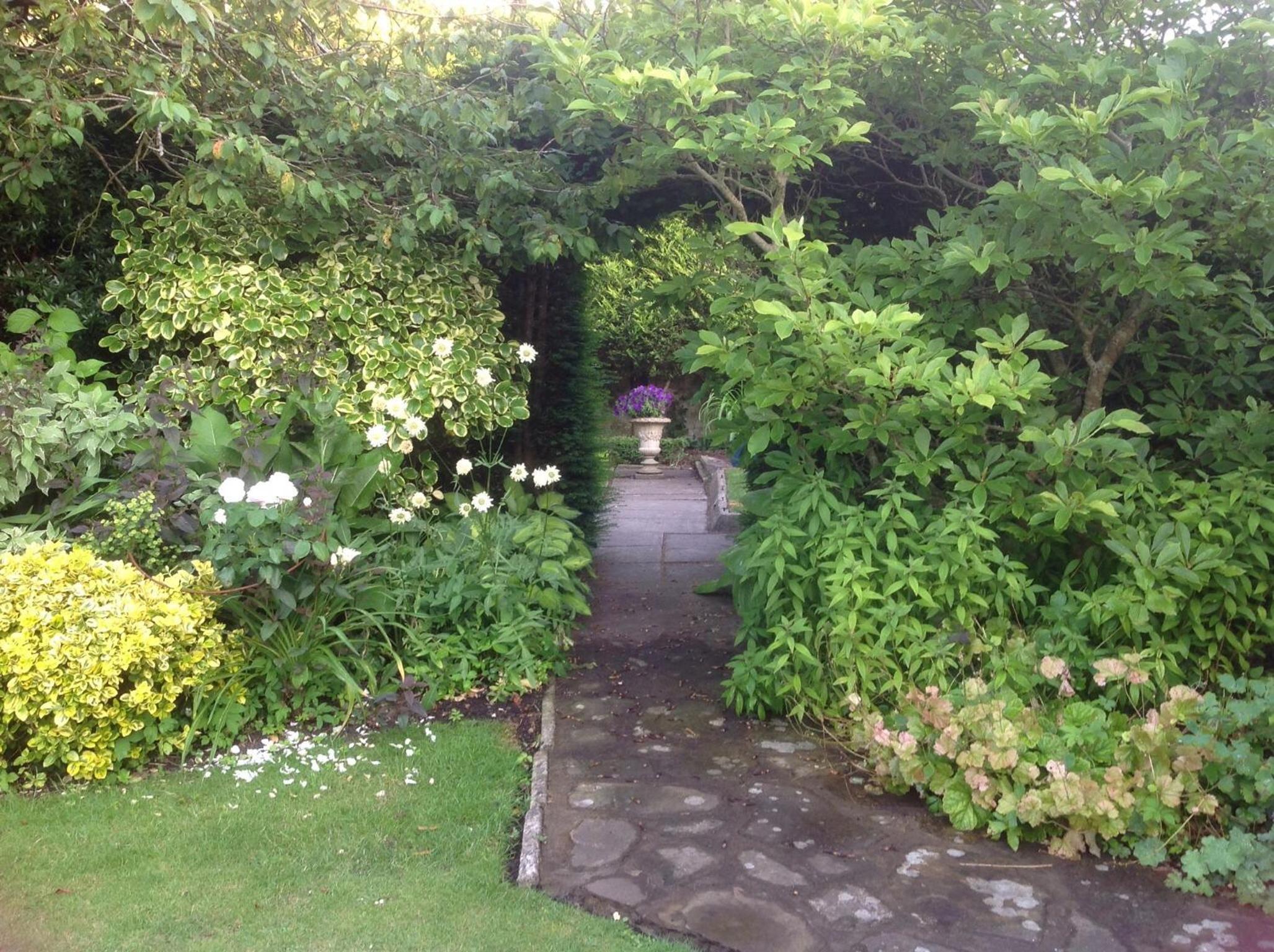 Photo 25