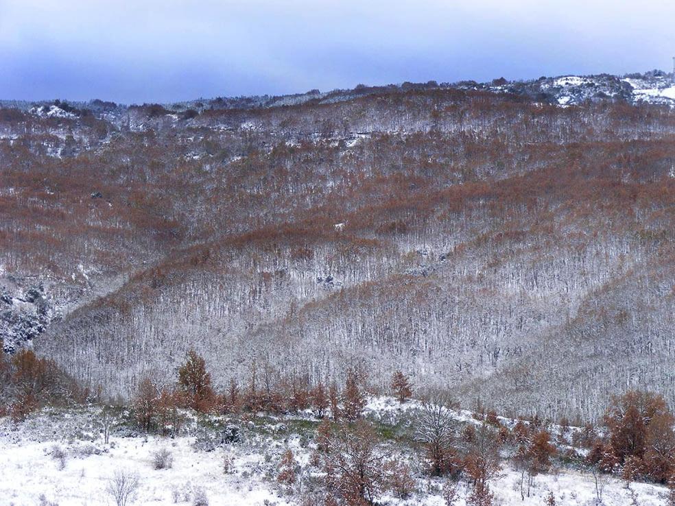 La Gándara Casa Rural
