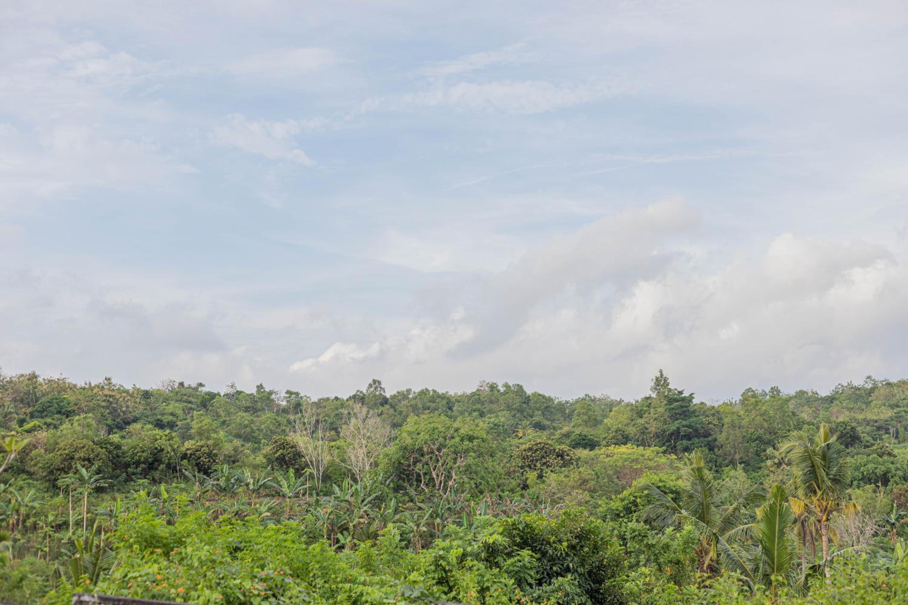 The Sweet Corn Bungalow, Nusa Penida - 16