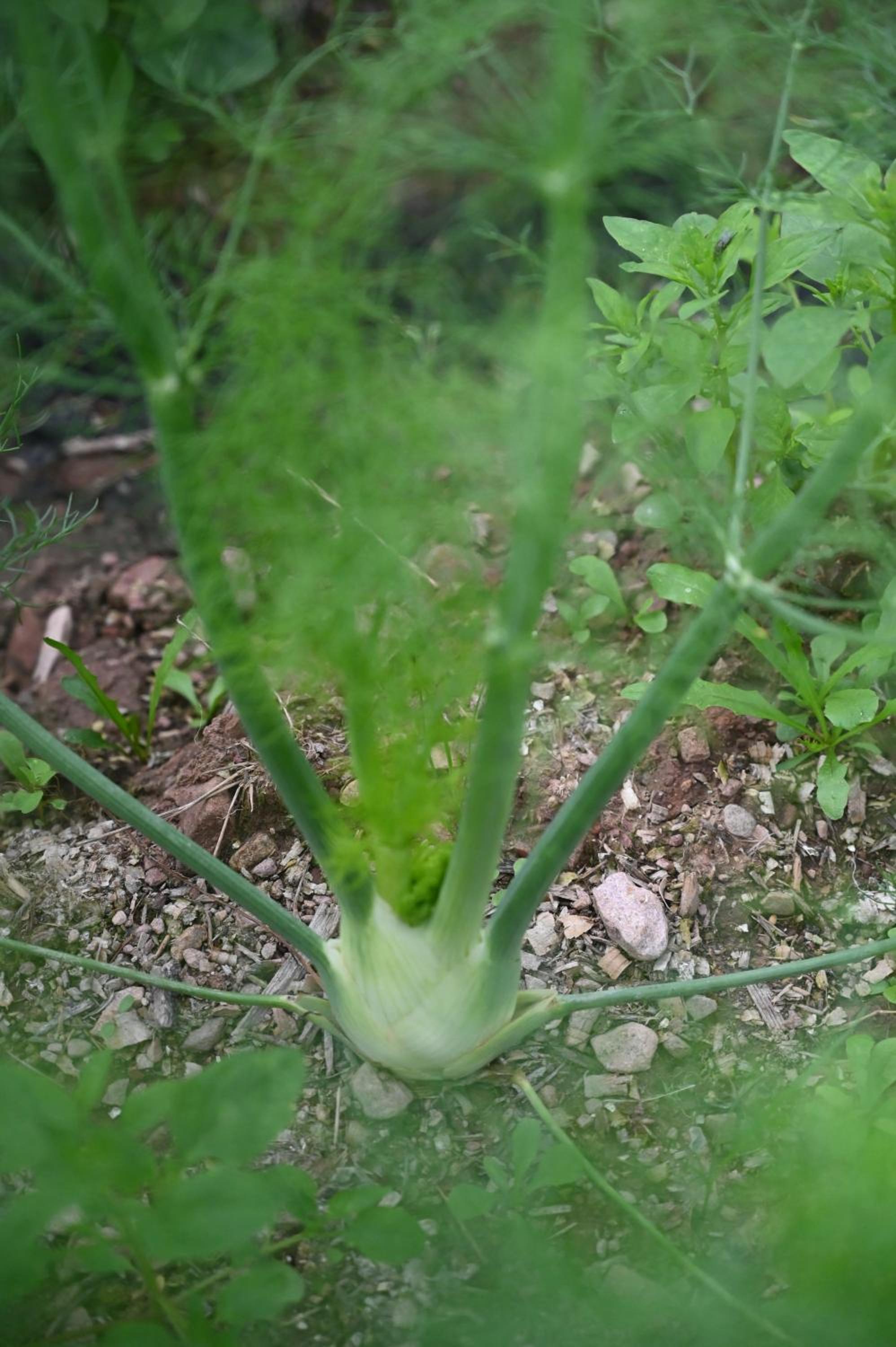 Ferienhof Holzmeister
