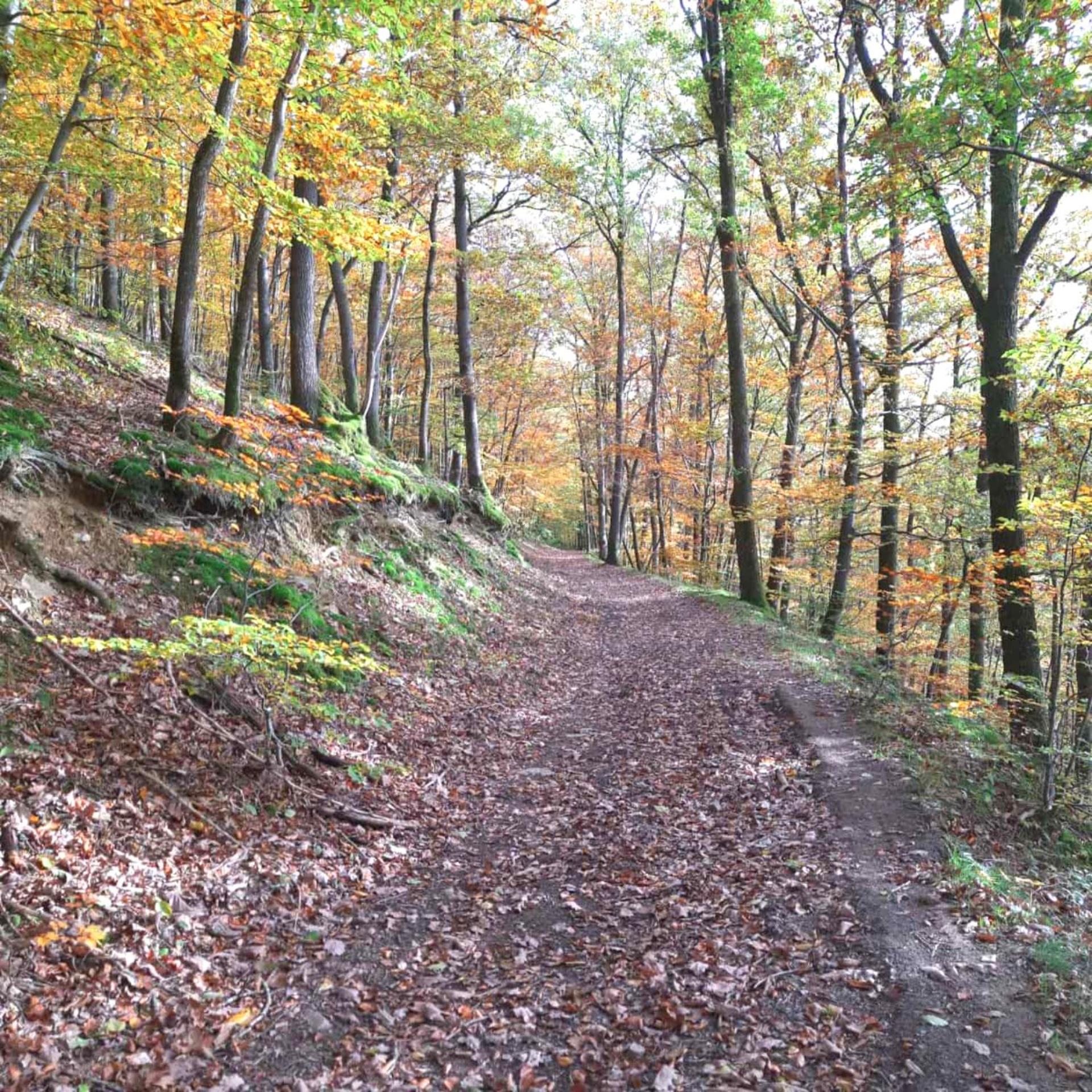 Les Monts d'Aisne