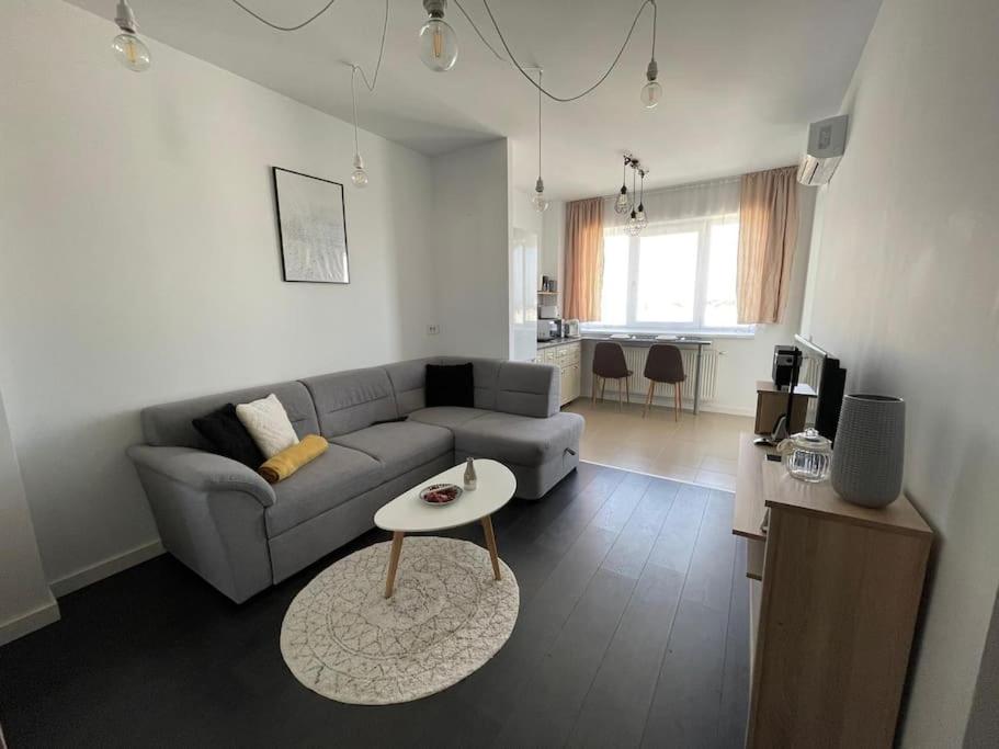 apartament Onestilor view 5