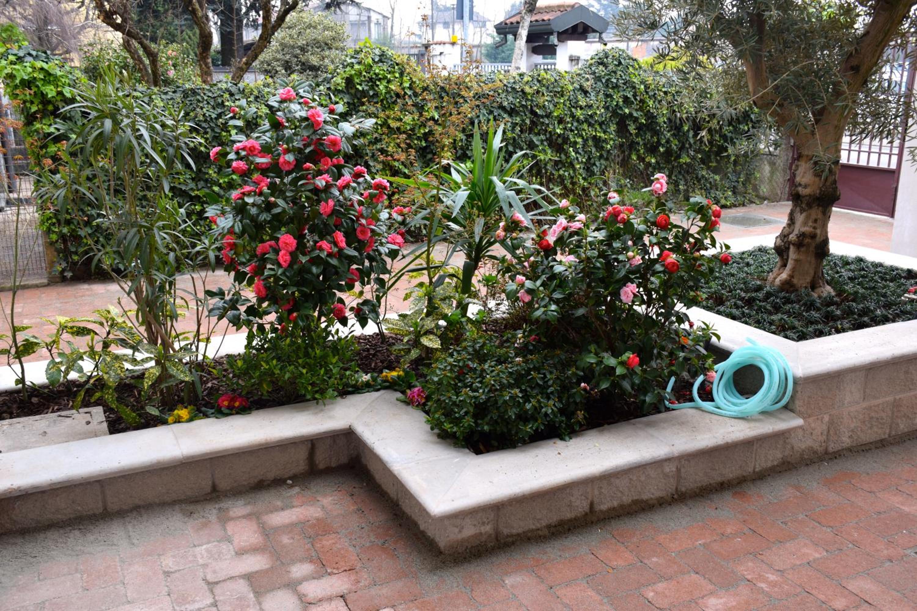 Photo 46