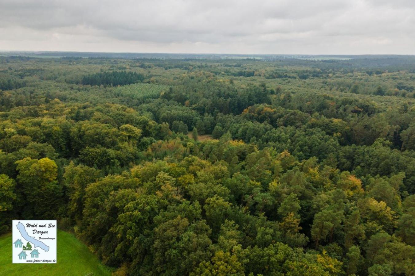 Wald und See Dargun 16A