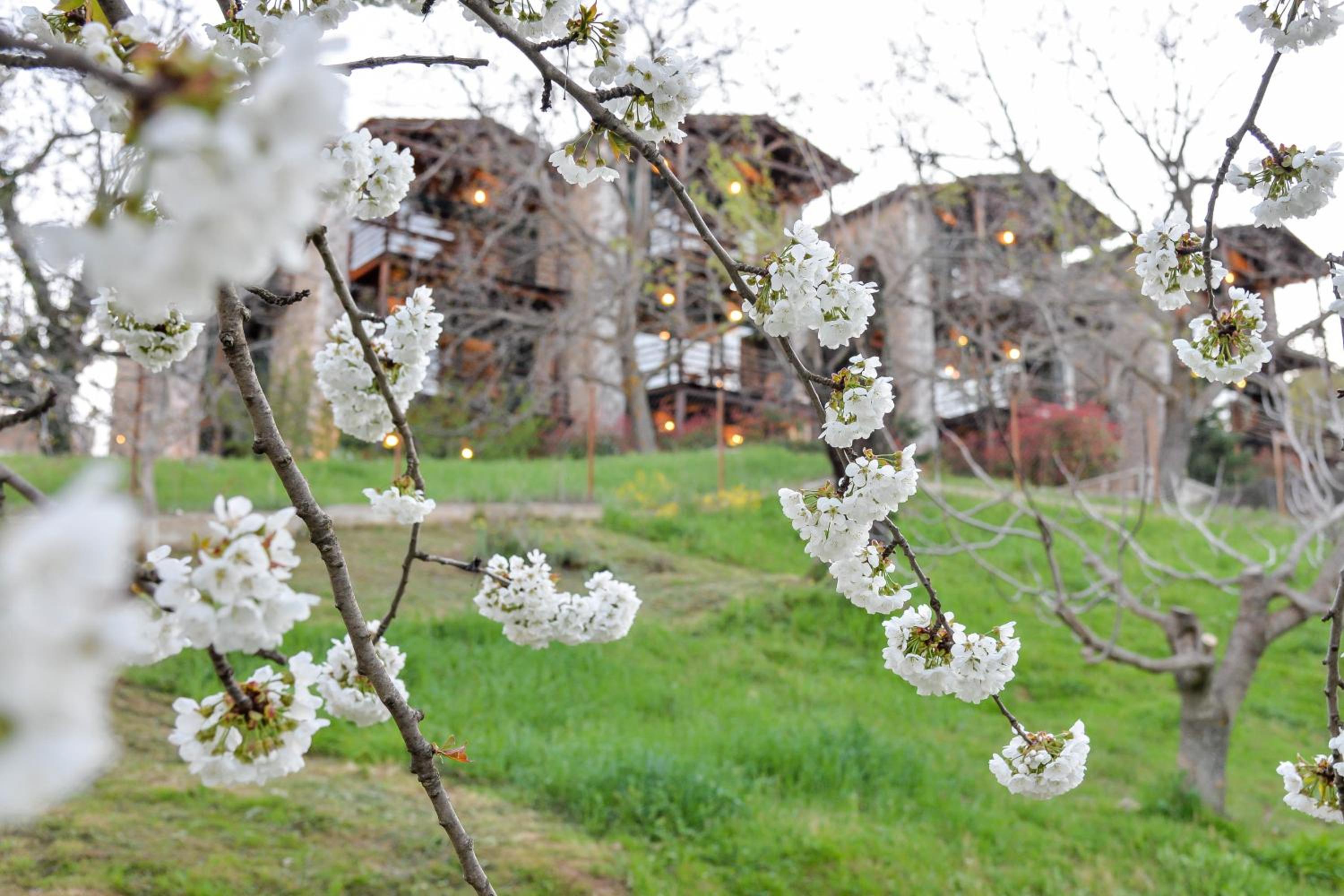 Vathyskia Guesthouse