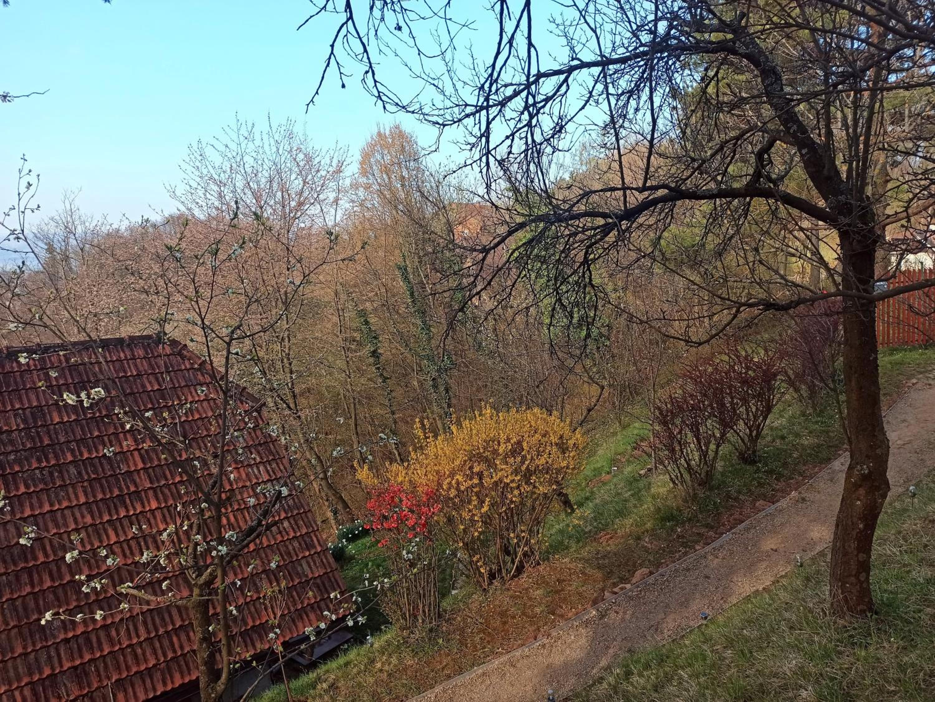 Photo 26