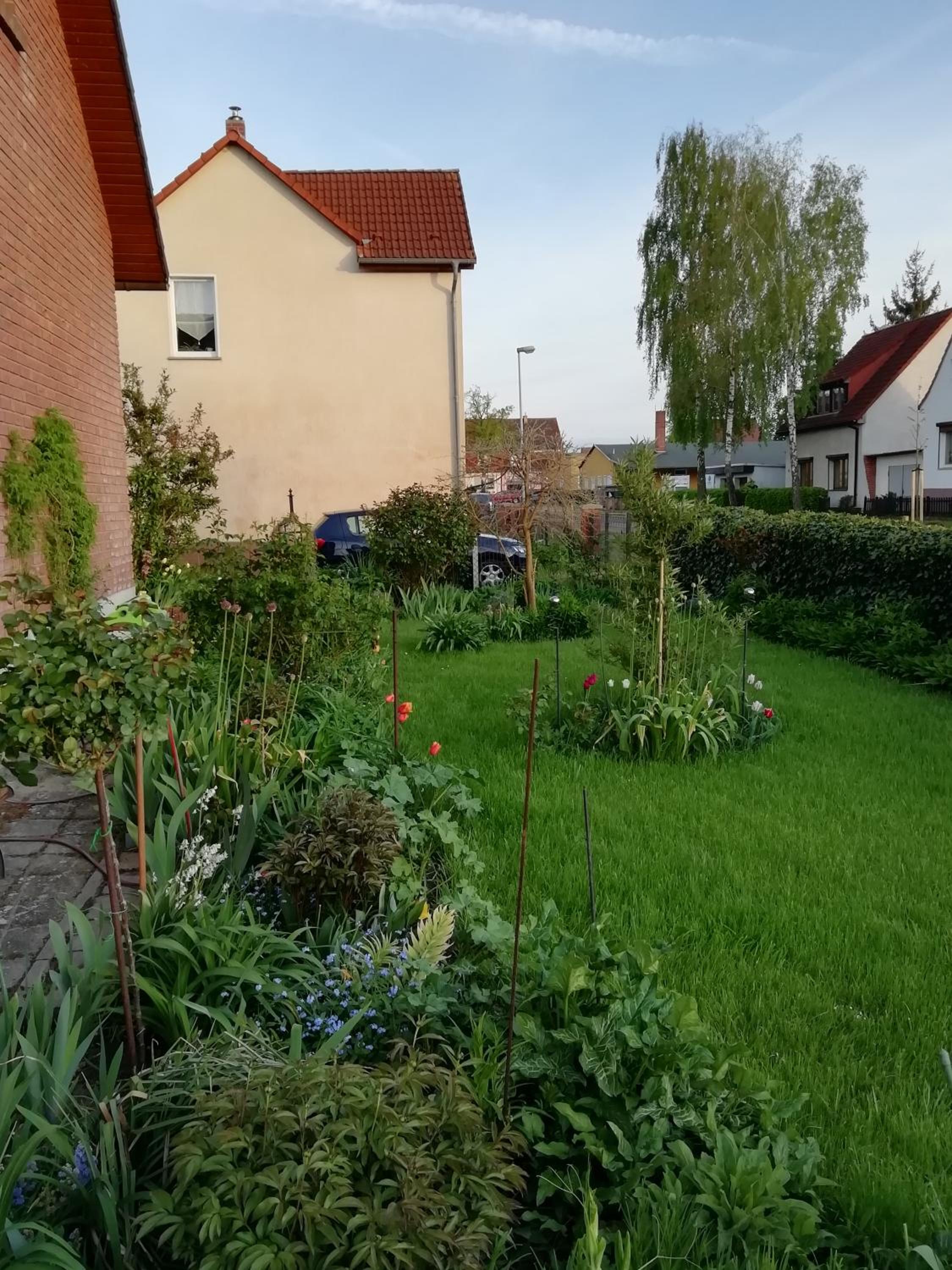 Photo 32