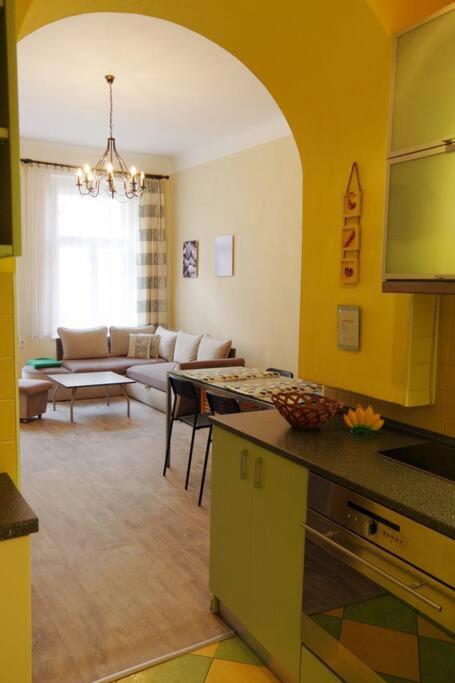 Nice big apartment in the city center
