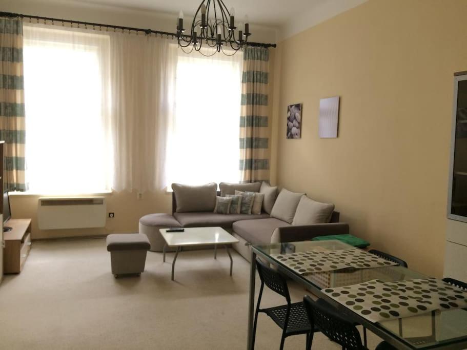 Nice big apartment in the city center