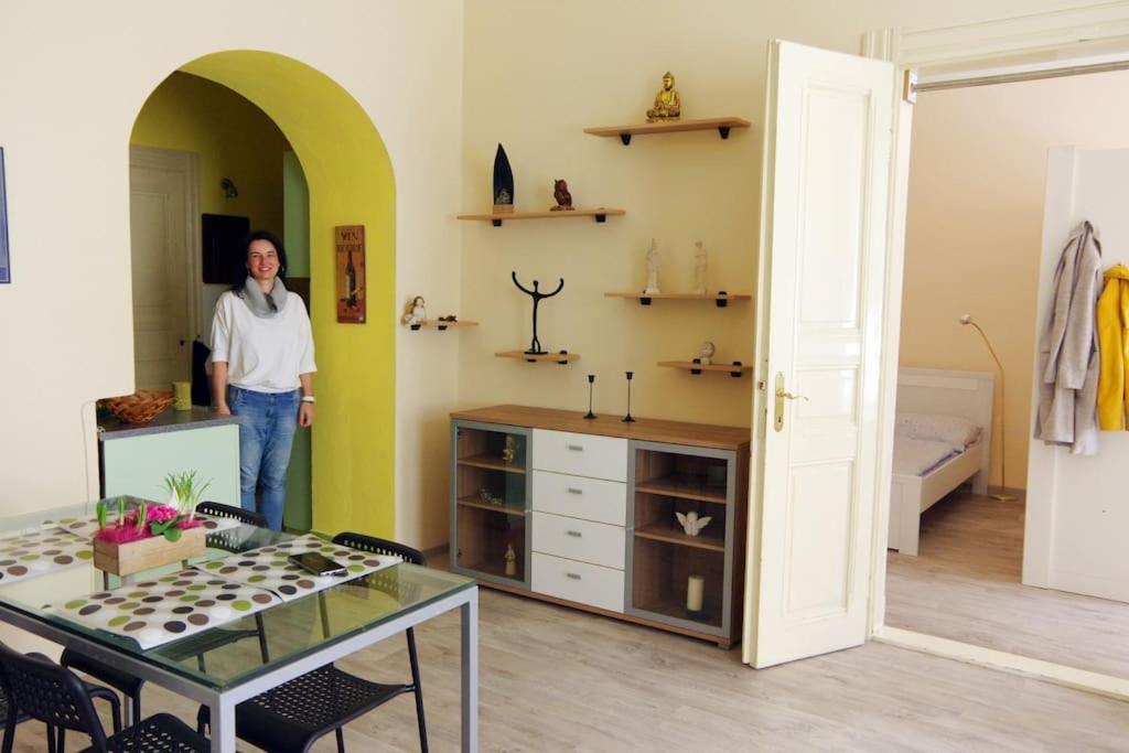 Nice big apartment in the city center