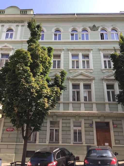 Nice big apartment in the city center