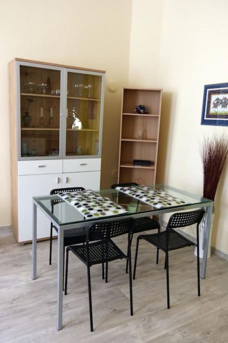 Nice big apartment in the city center