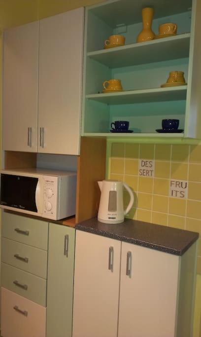 Nice big apartment in the city center