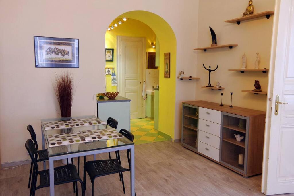 Nice big apartment in the city center