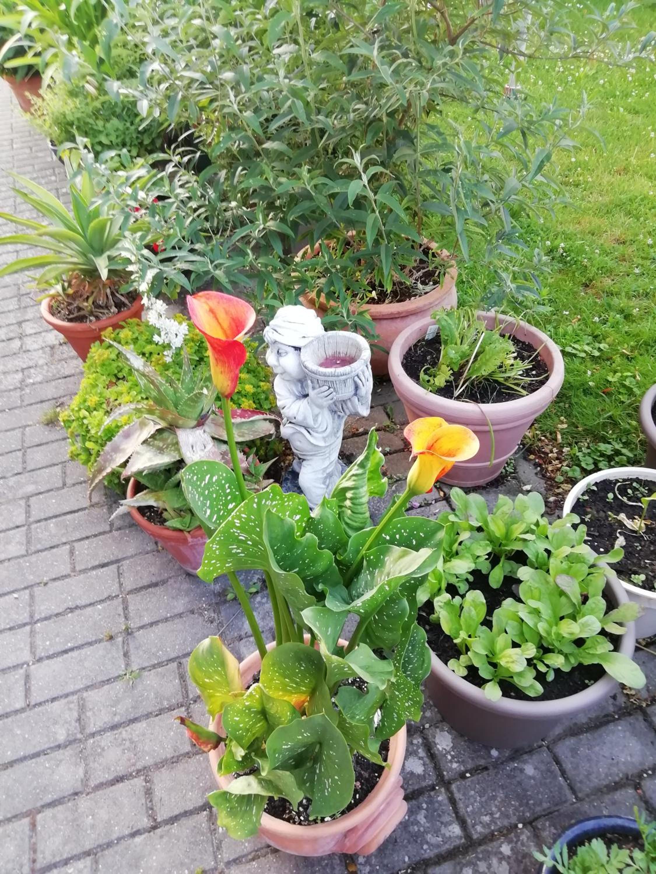 Ferienwohnung Borchert view 4