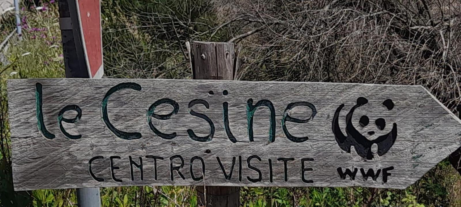 Villino Il melograno