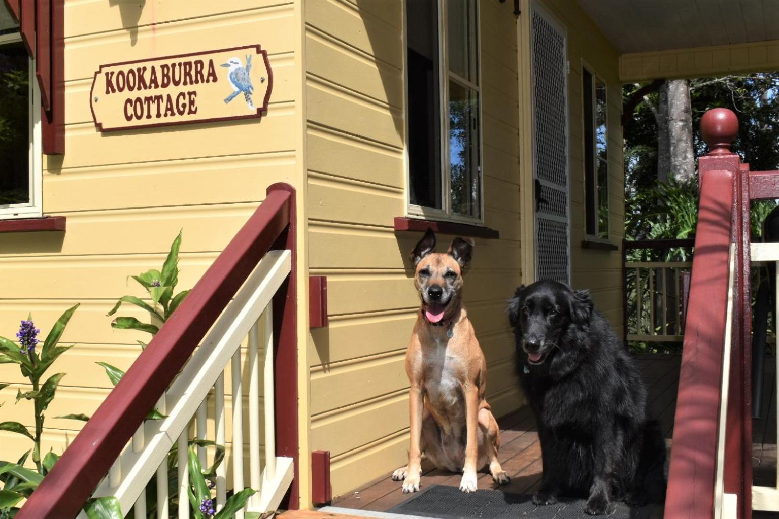 Bilyana Cottages
