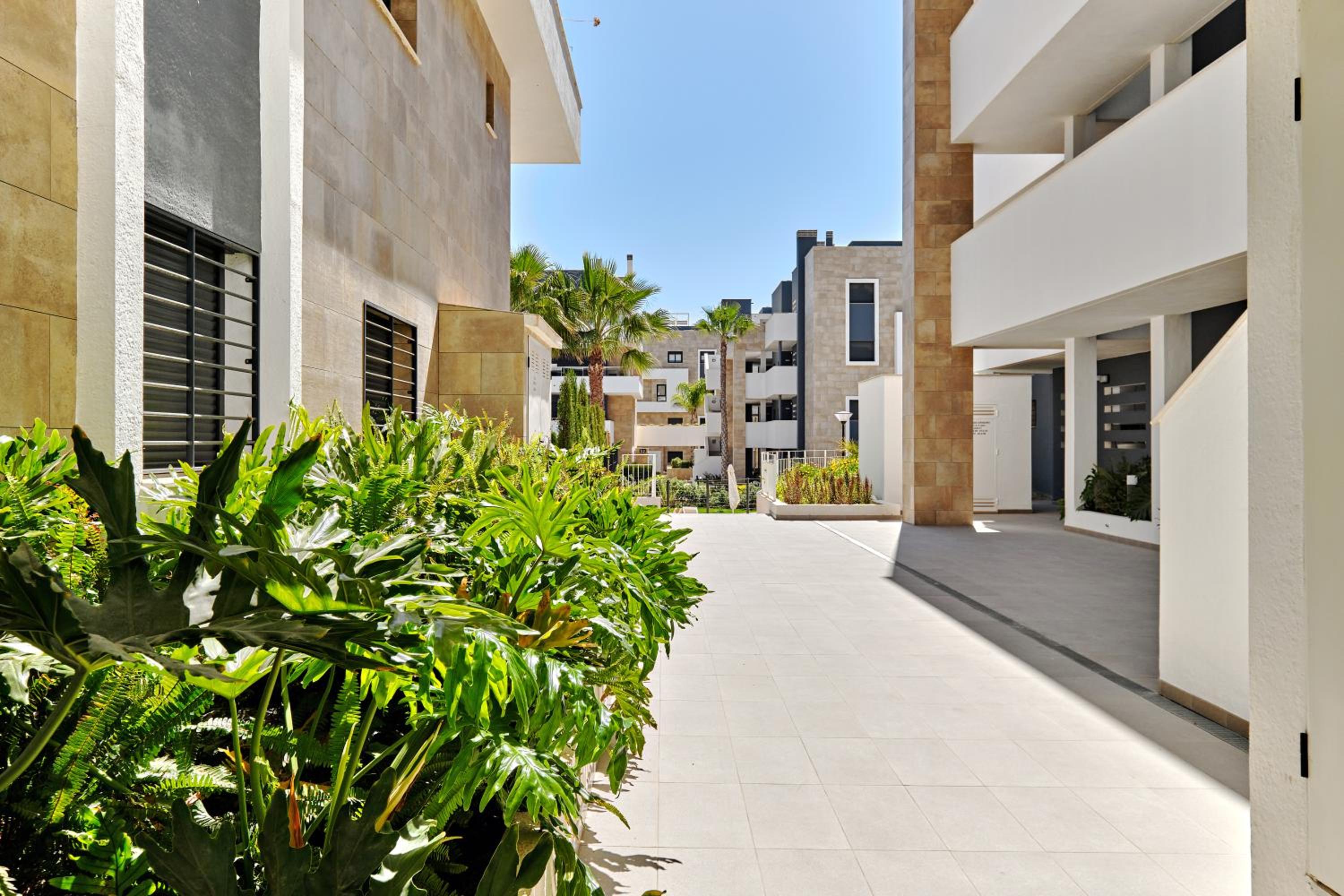 Apartment Elegance