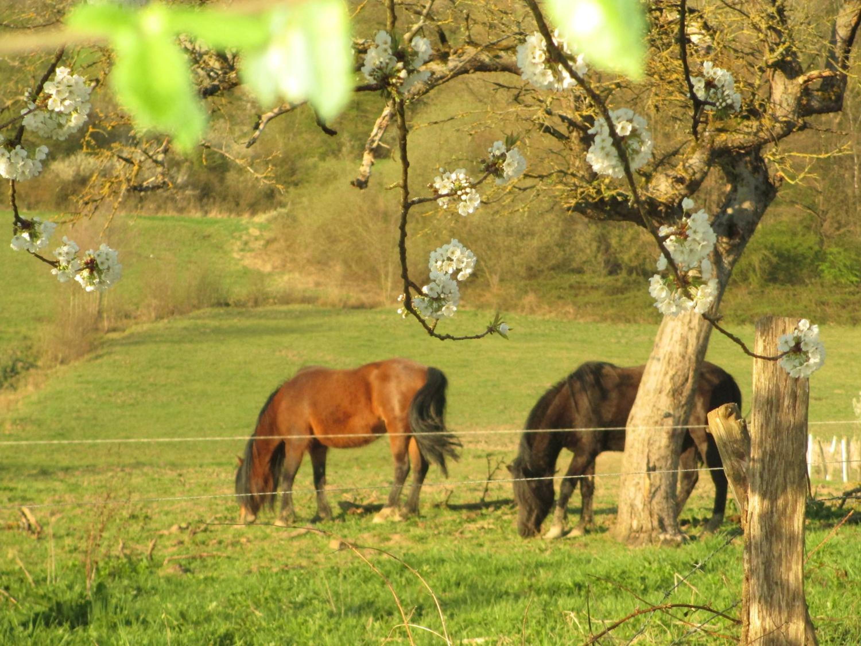 La Ferme de Werpin