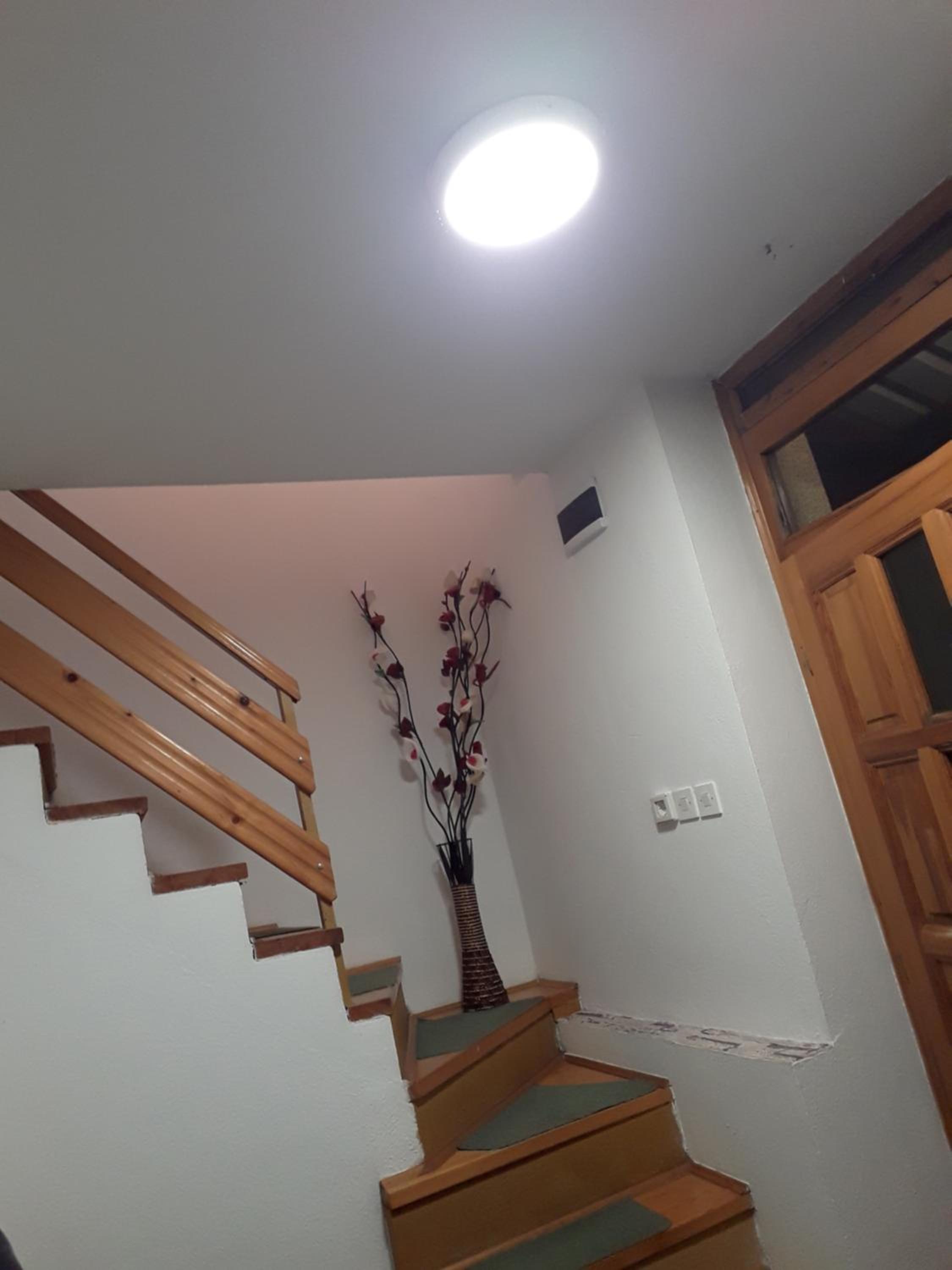YELLOW HOUSE