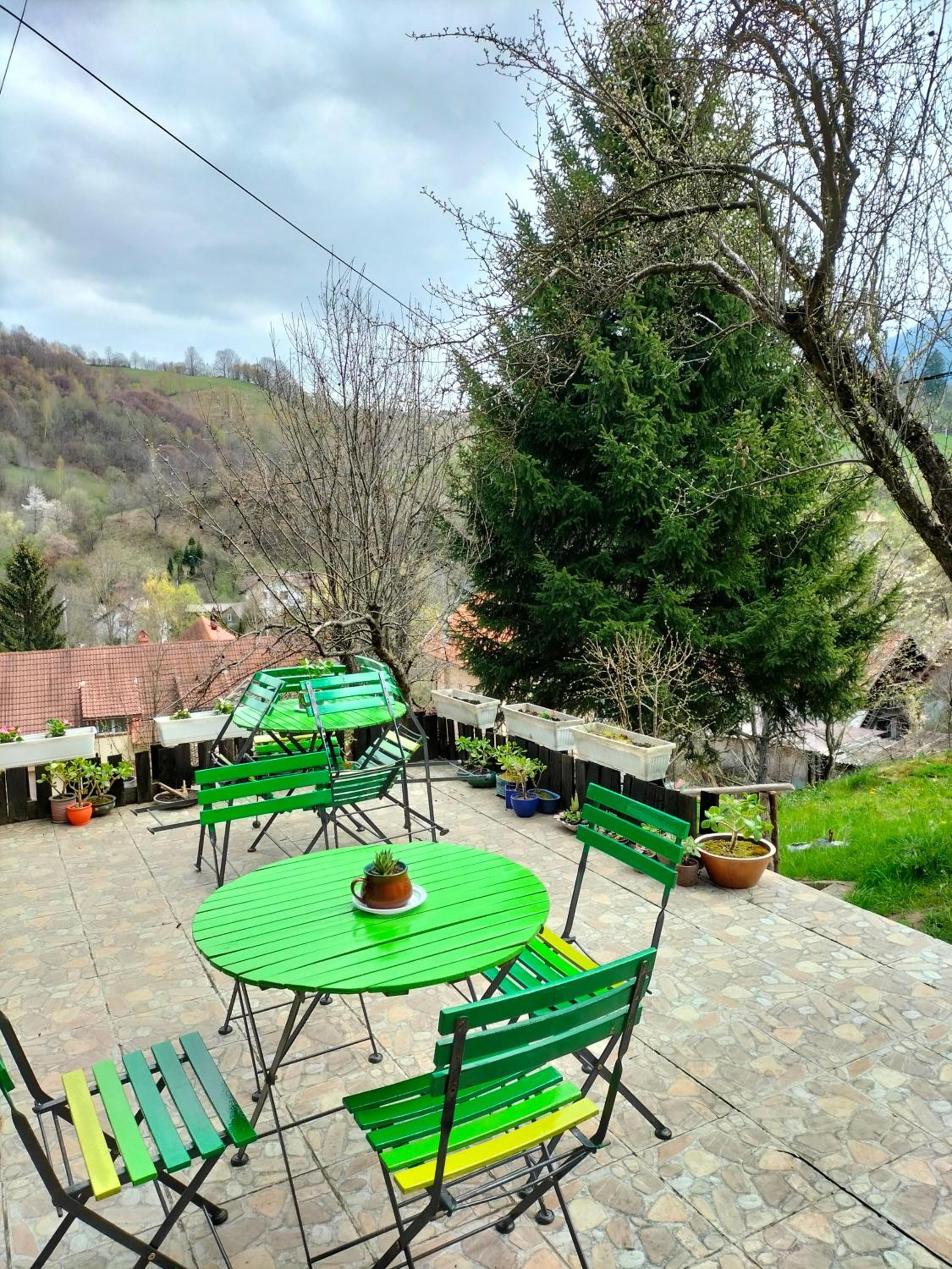 Bran and Breakfast view 4