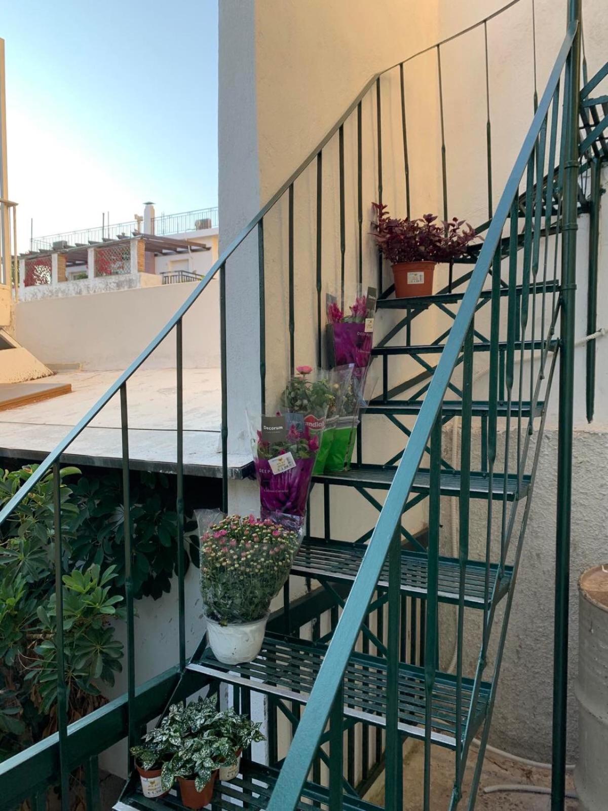 Lillian’s House