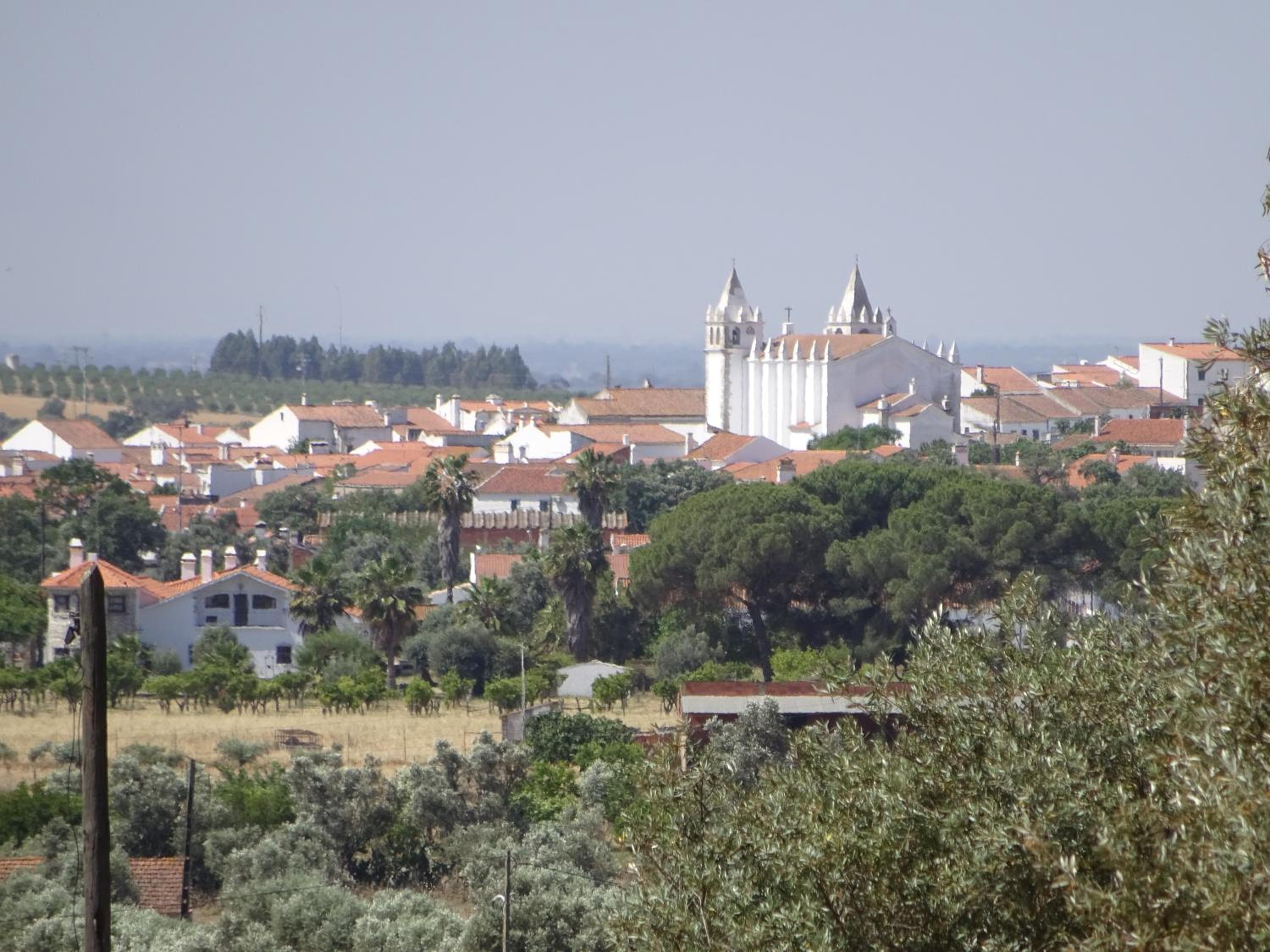 Photo 29