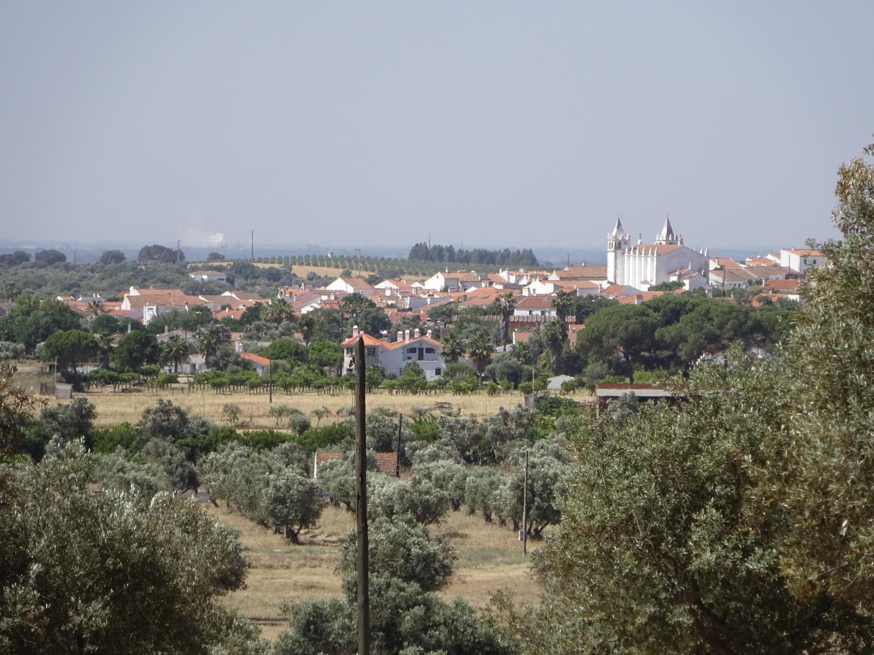 Photo 30