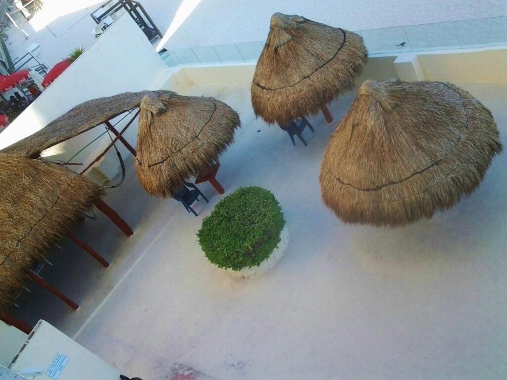 Salvia Condominio