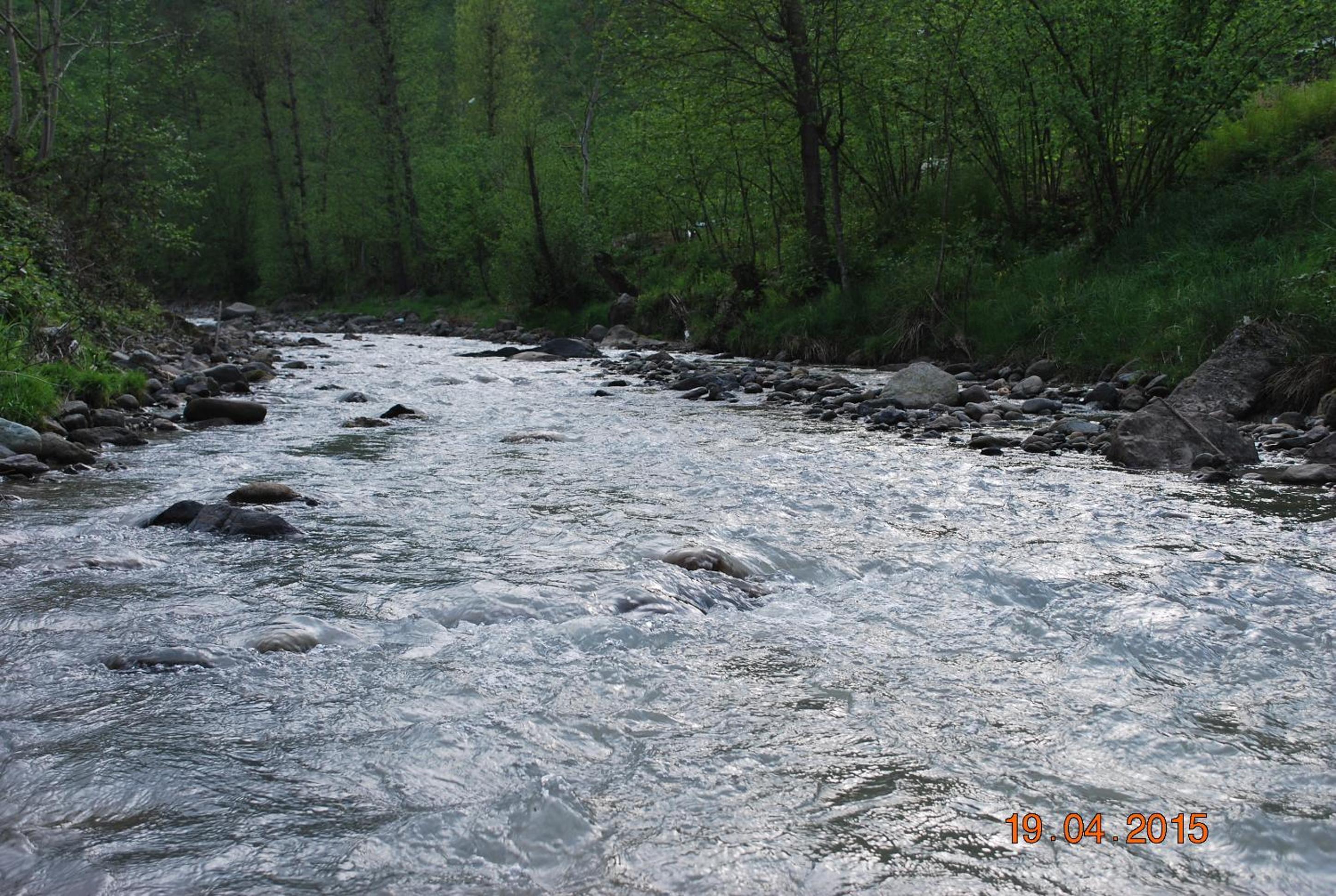 Photo 34