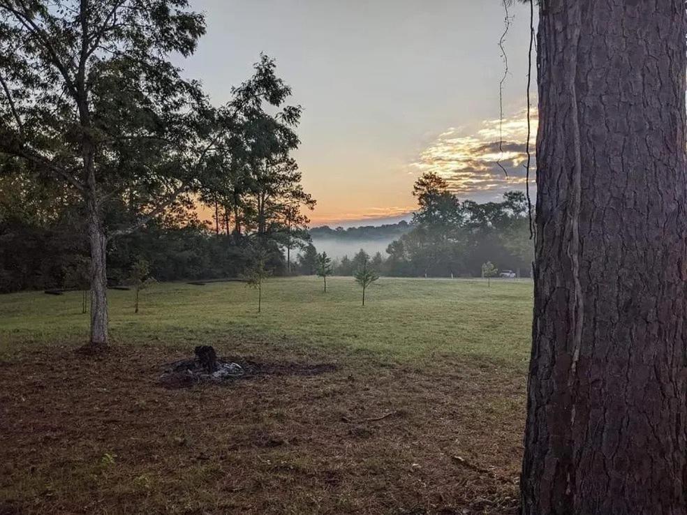 Cozy Forest Retreat near Sam Houston National Park