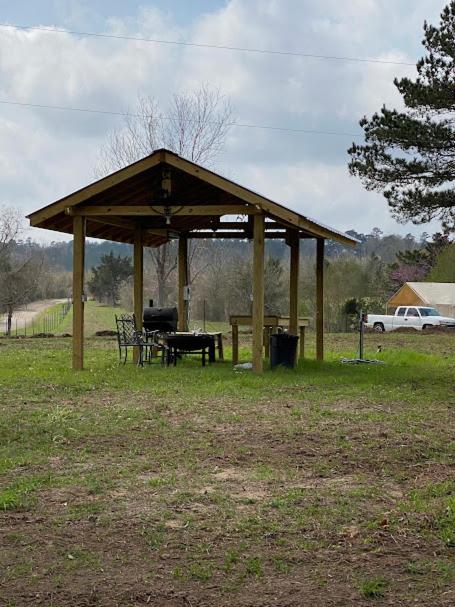 Cozy Forest Retreat near Sam Houston National Park