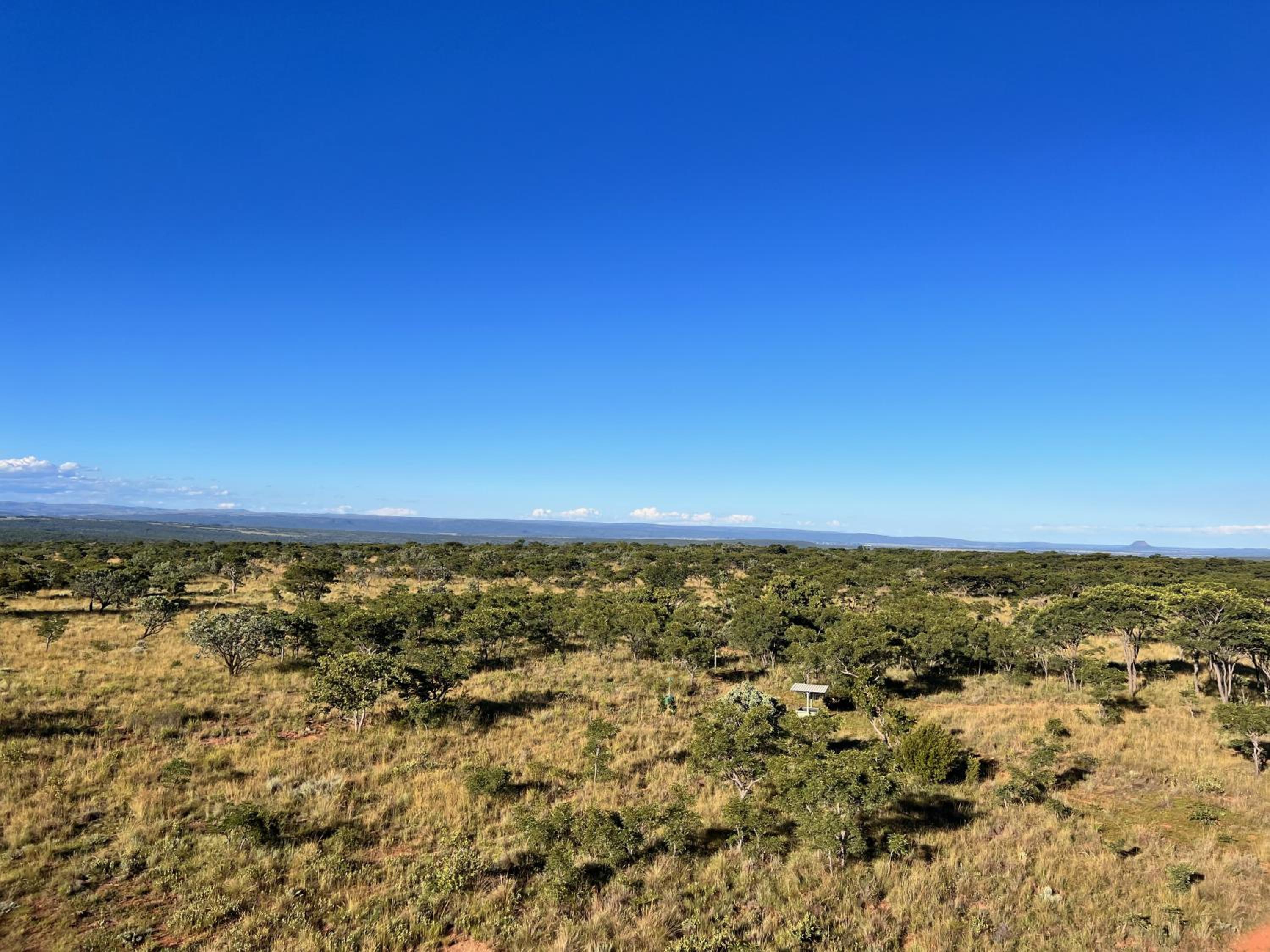 Rockey Mountain Tower