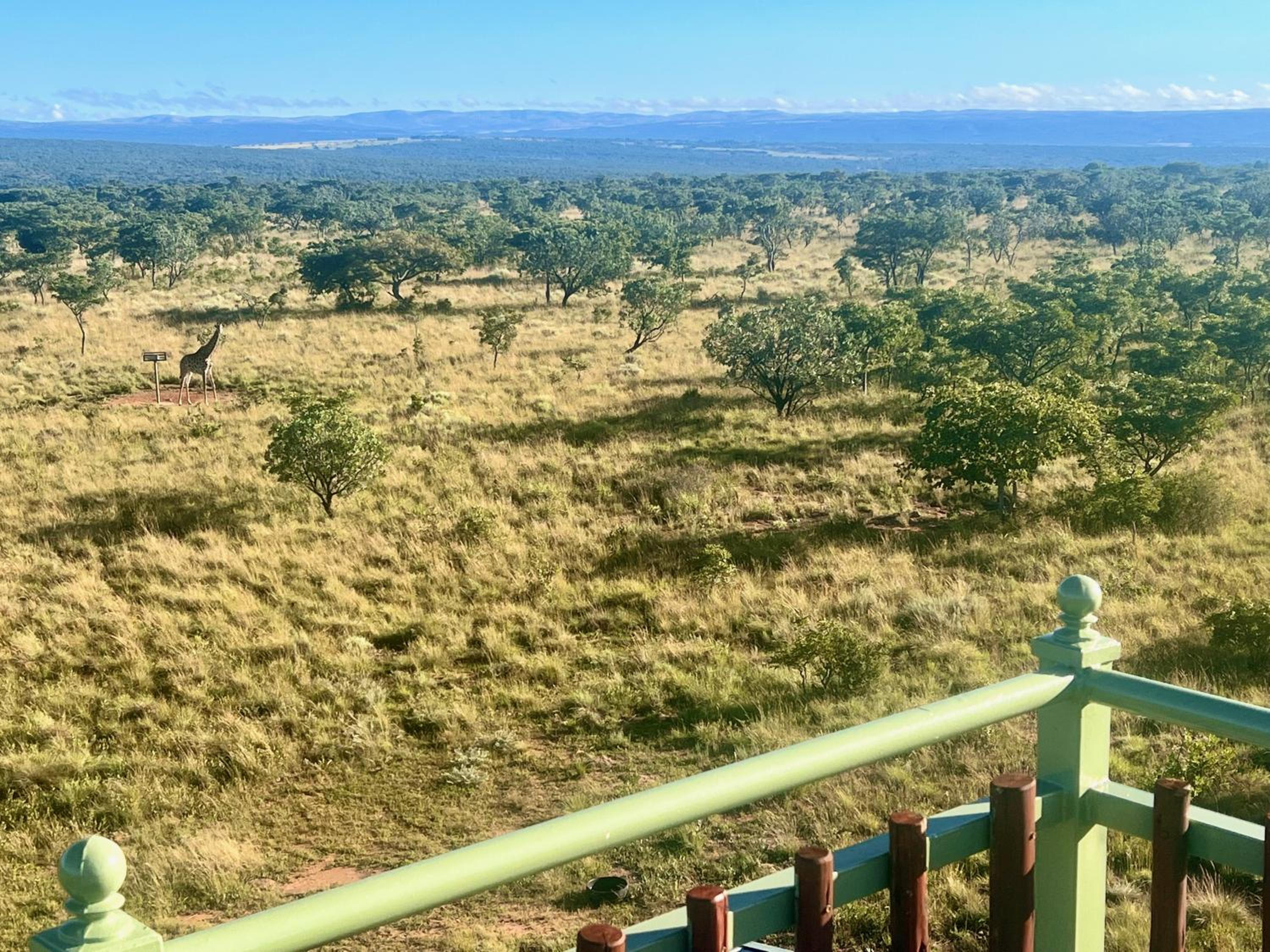 Rockey Mountain Tower