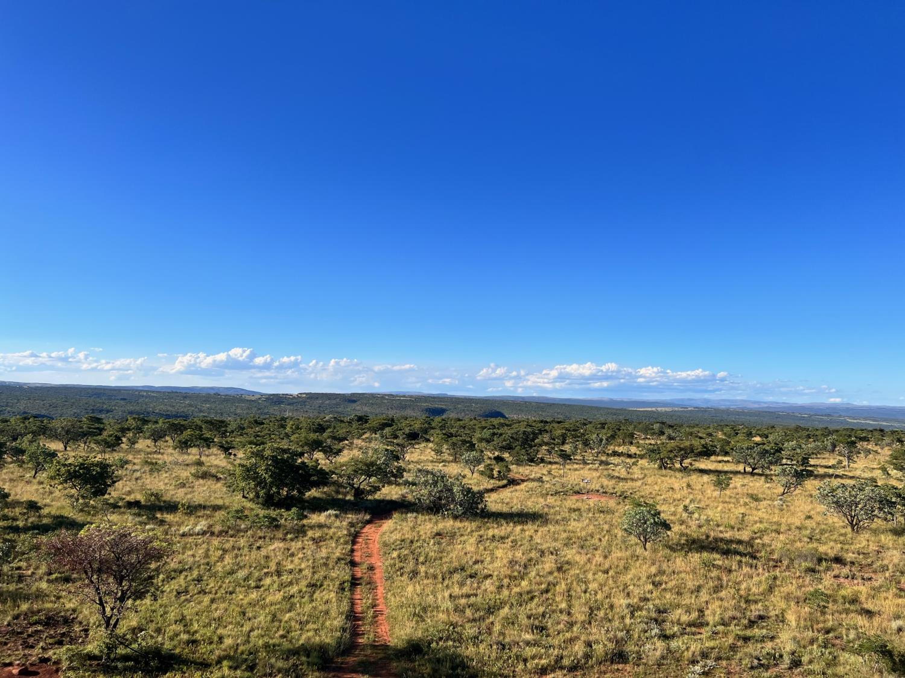 Rockey Mountain Tower