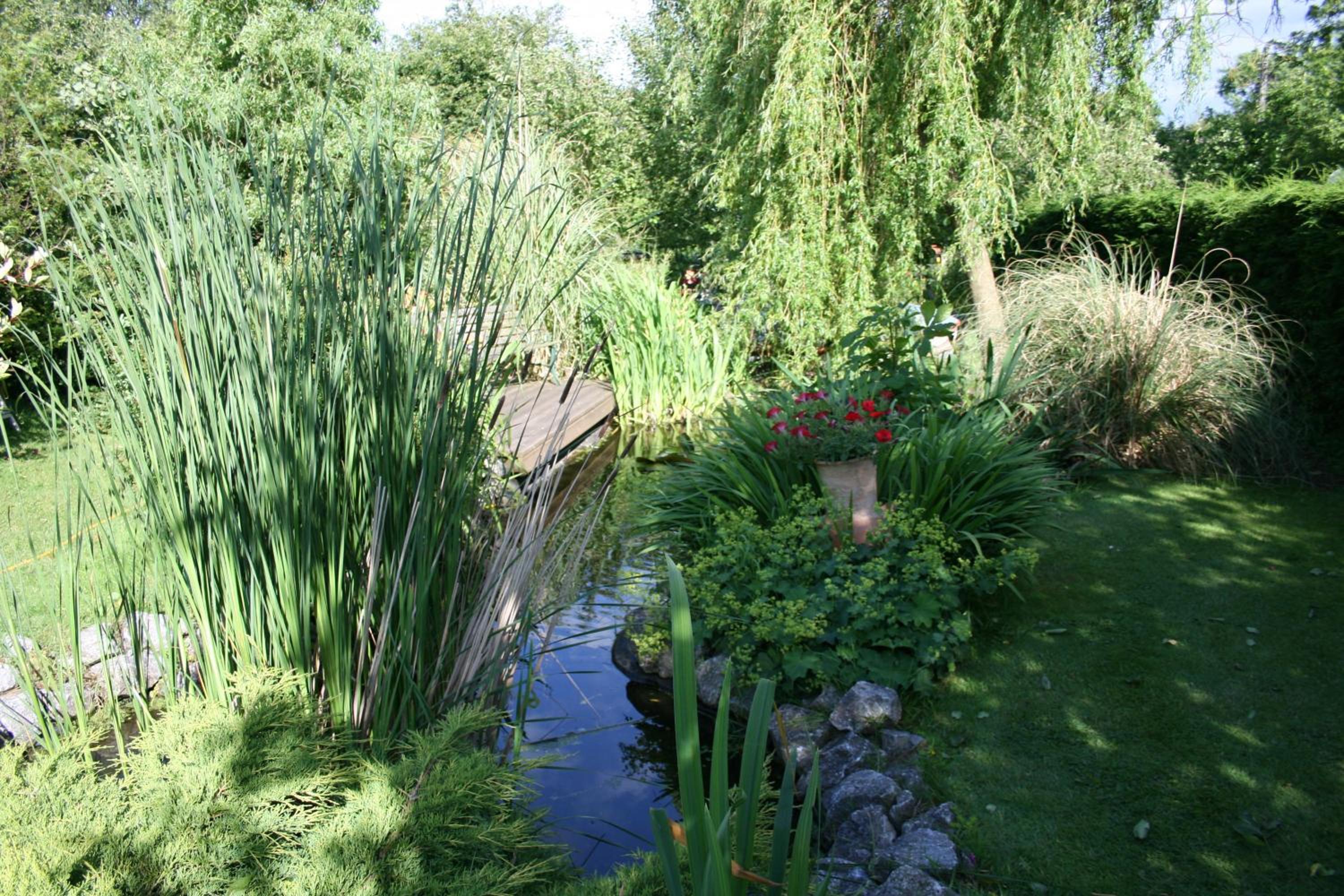 The Cobblers Bed and Breakfast view 3