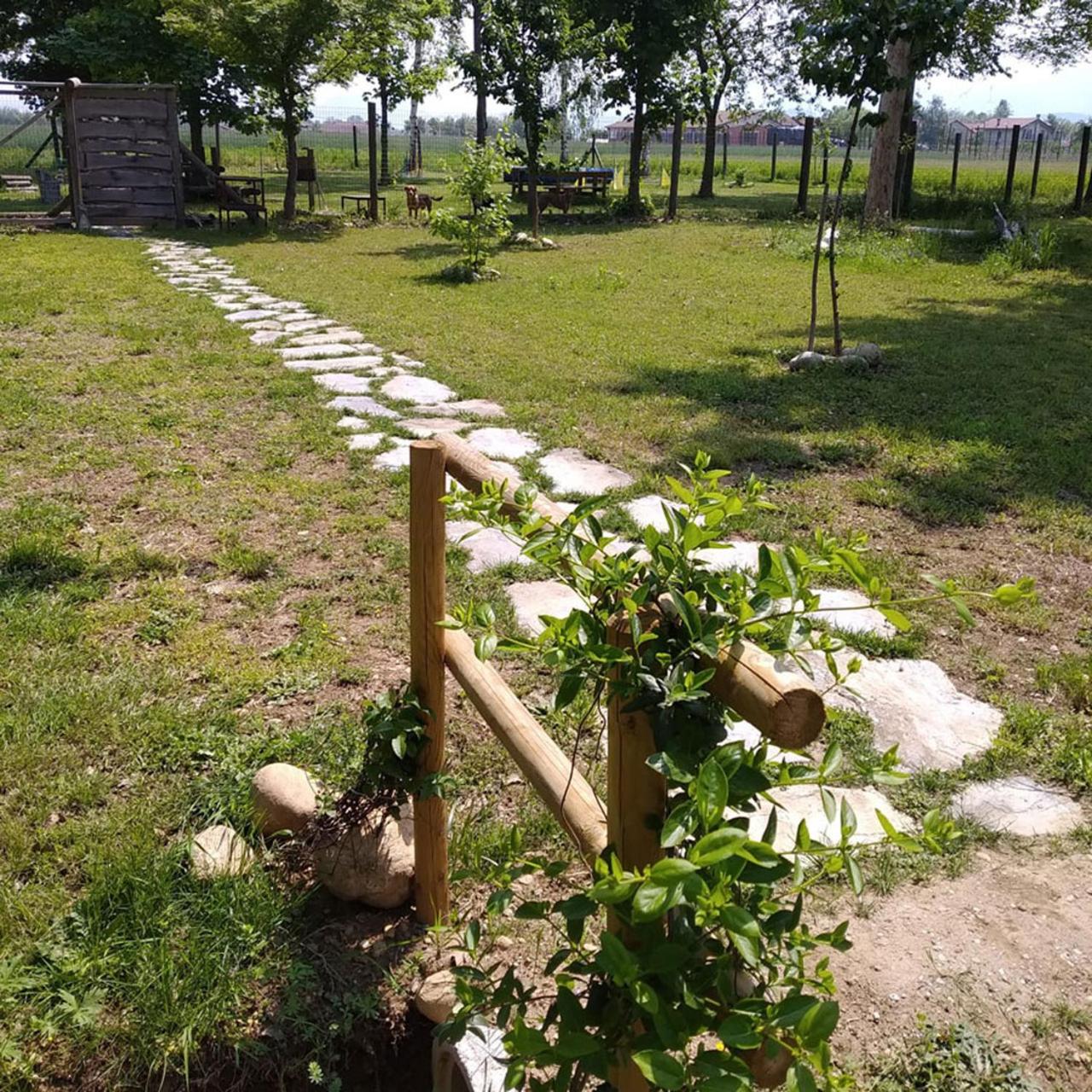 Photo 23