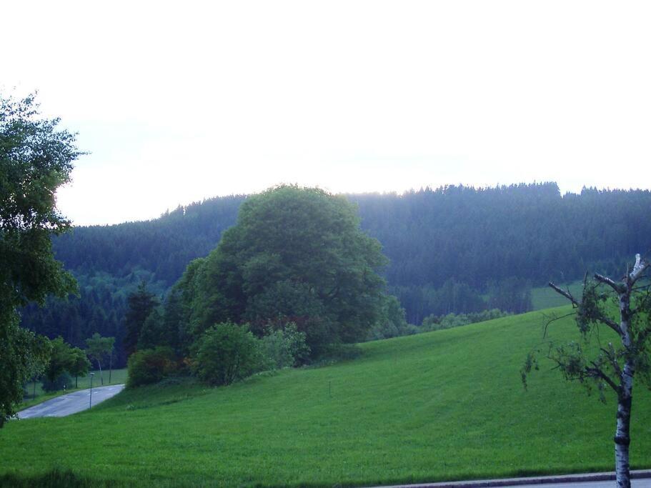 Chez Lisa Familienurlaub mit Pool, Sauna, Netflix view 4