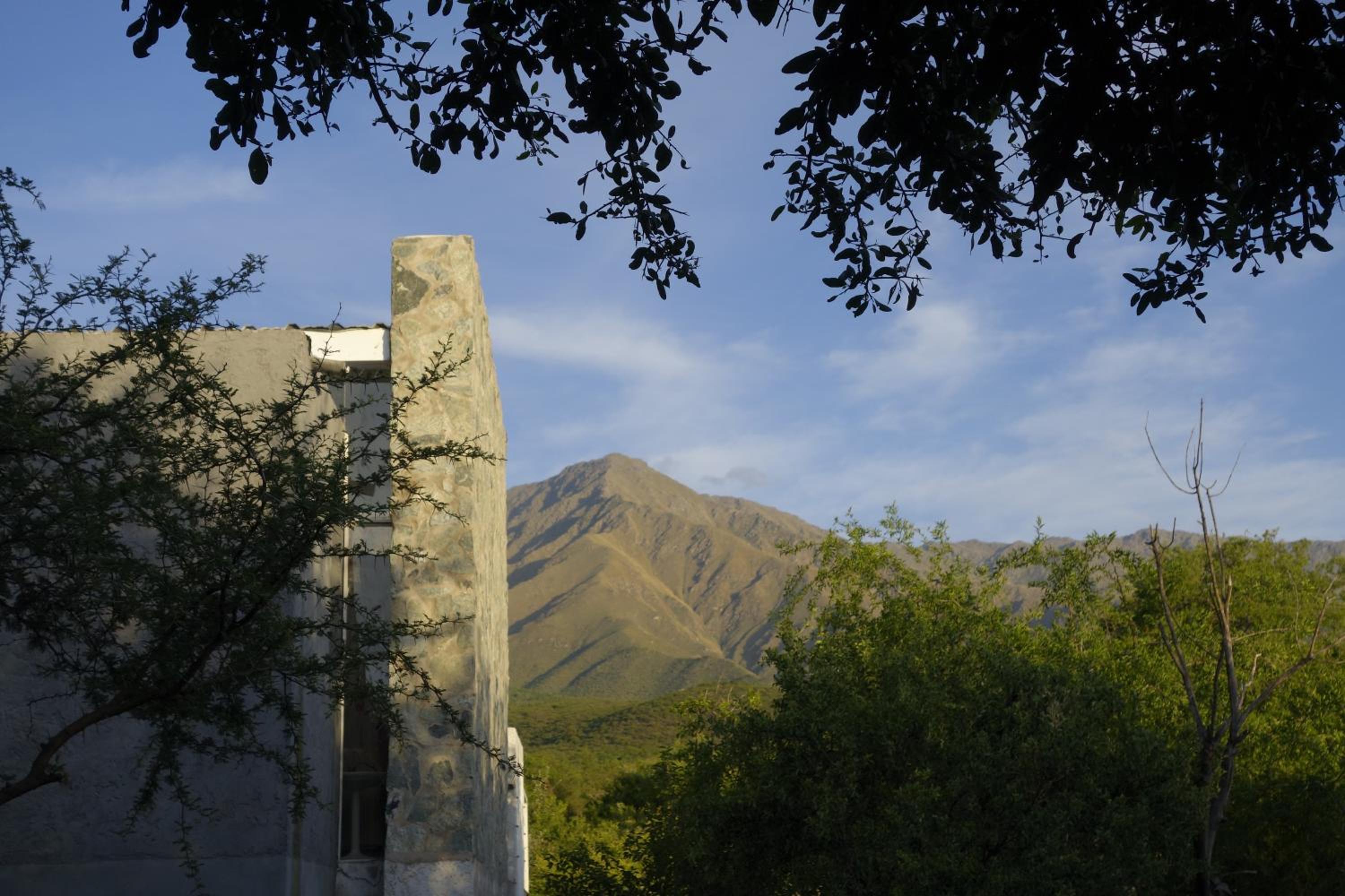 Jauja