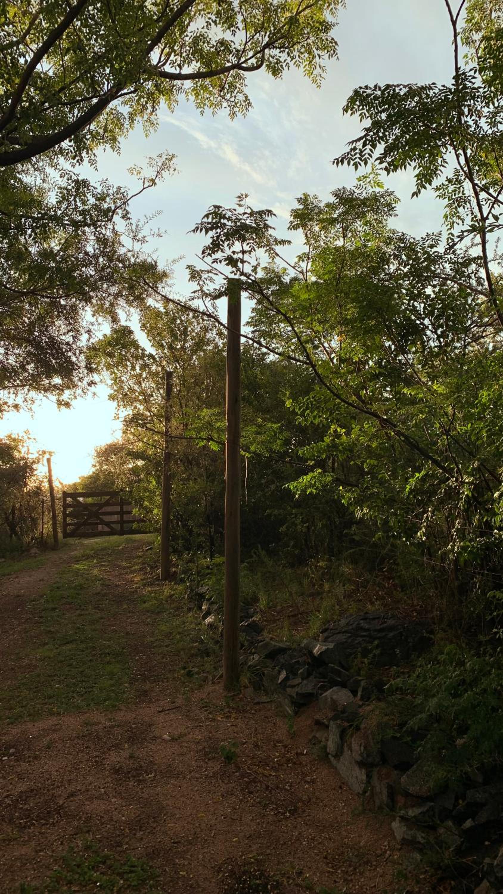 Jauja