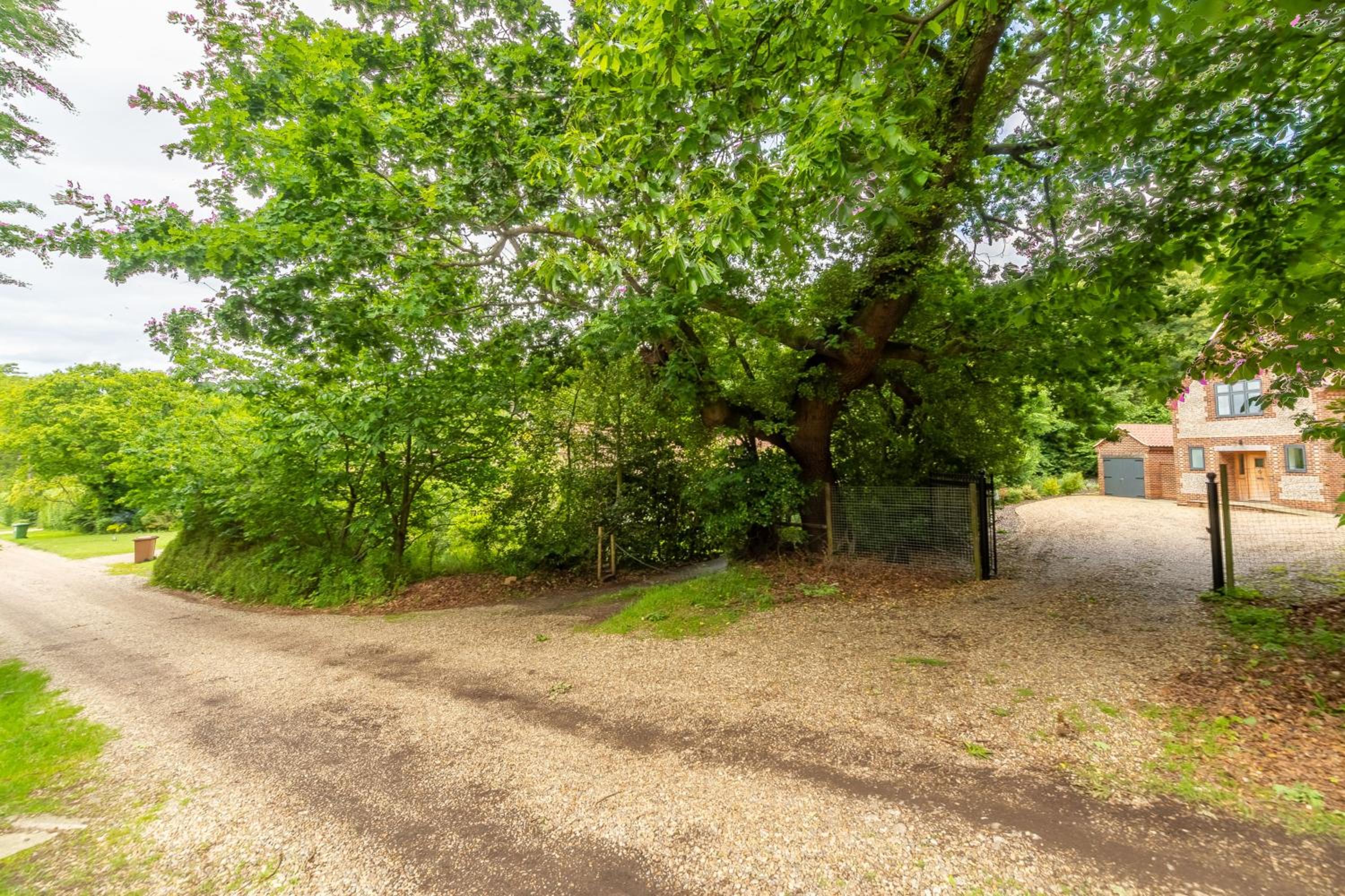 Woodland Pytchley