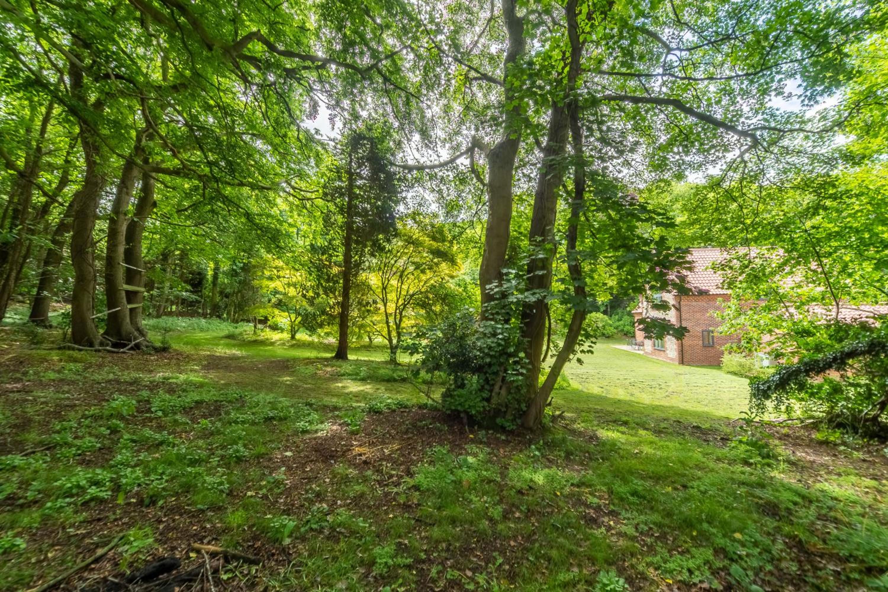Woodland Pytchley
